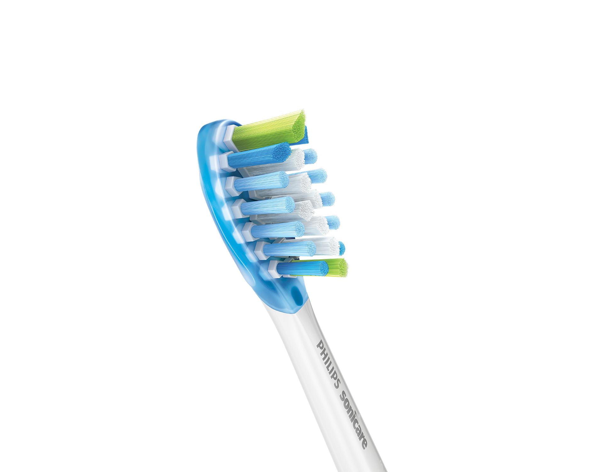 Nahaufnahme eines Philips Sonicare-Zahnbürstenkopfes, blaue und weiße Borsten mit grünen Spitzen.