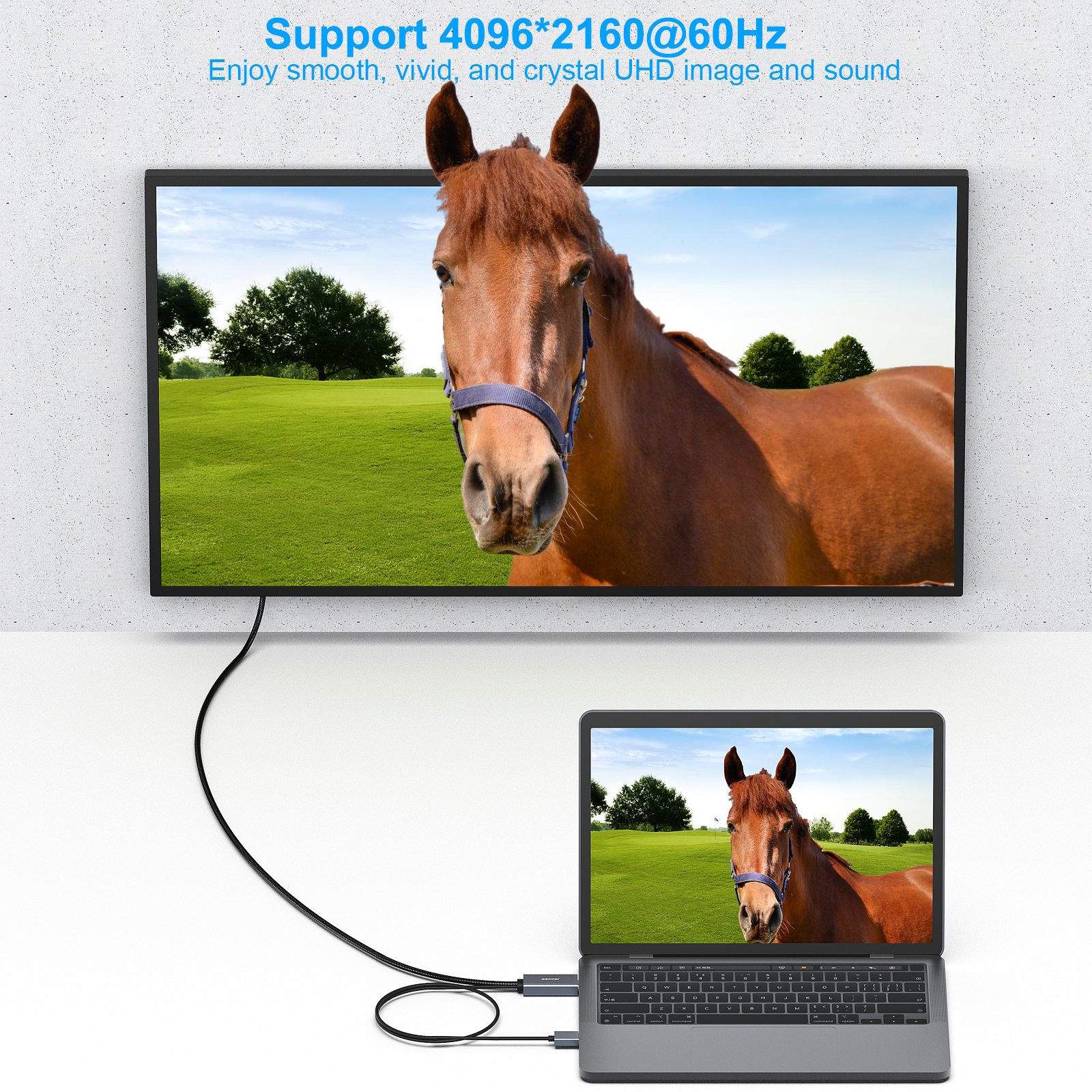 TV-Bildschirm mit Pferd und Laptop. Weißer Hintergrund.