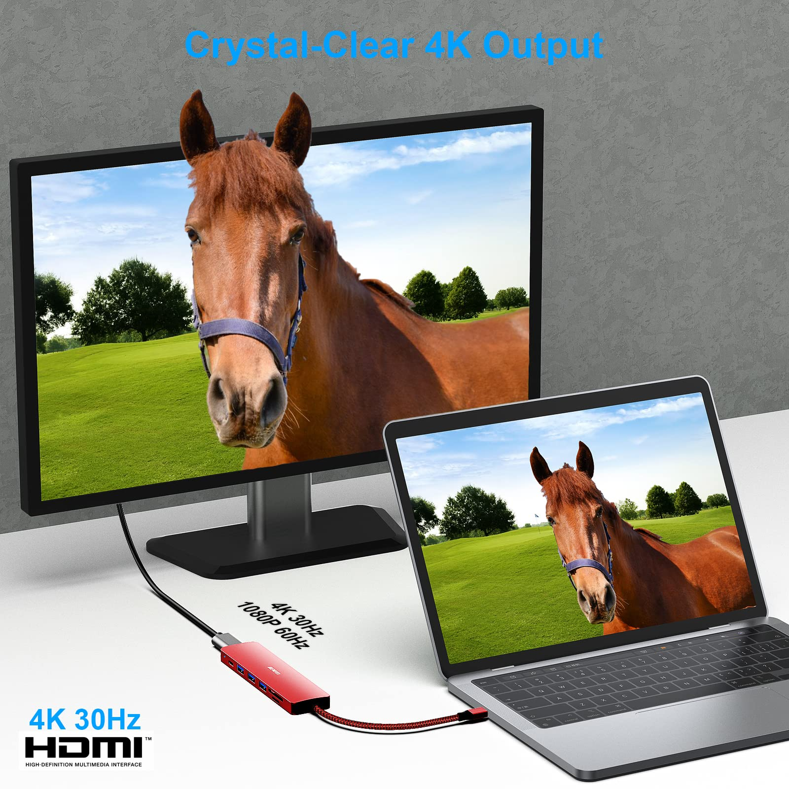 Laptop an Monitor angeschlossen, der ein Pferdebild zeigt, 4K HDMI-Fähigkeit.