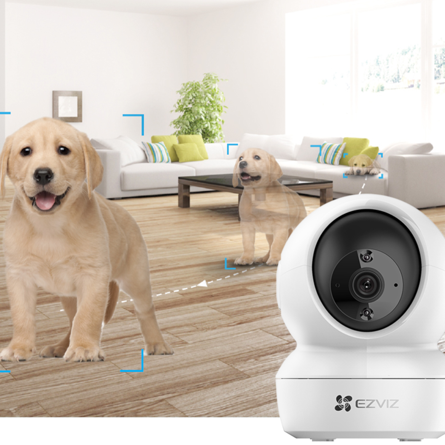 Biała kamera bezpieczeństwa w pobliżu szczeniąt w salonie.