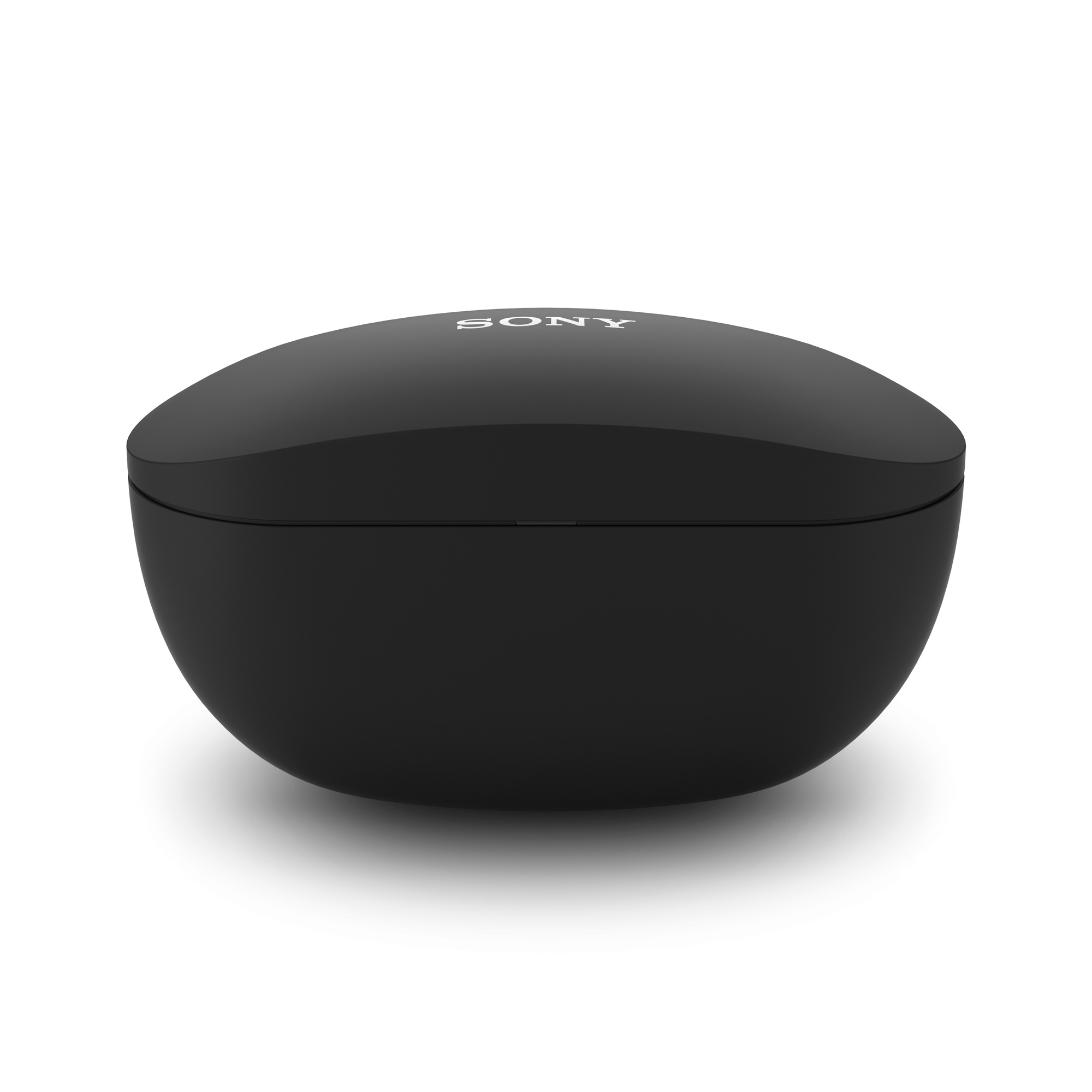 Custodia per auricolari Sony nera. Forma arrotondata. Logo Sony in alto. Sfondo bianco.
