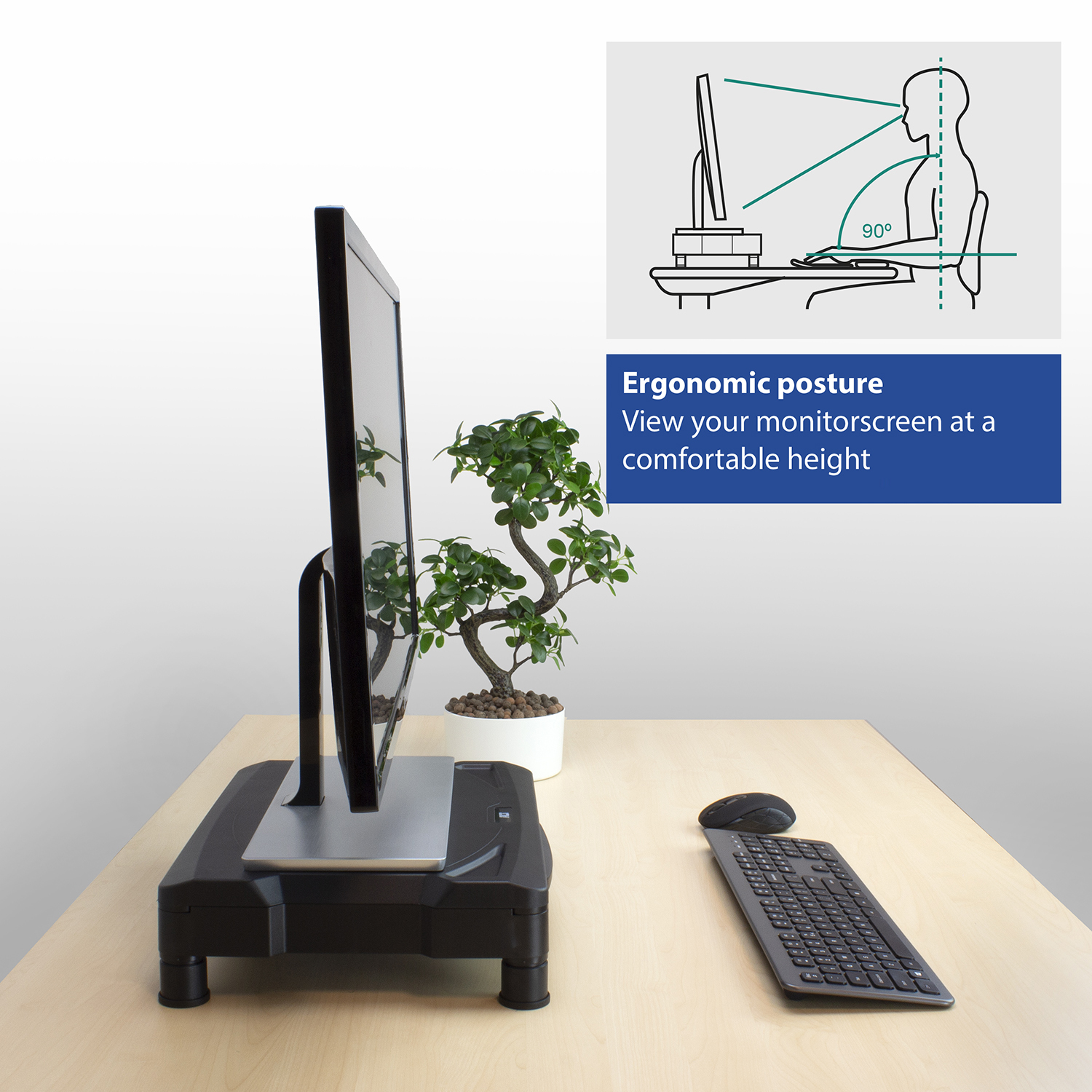 Ergonomiczne ustawienie: Monitor na podstawce, bonsai, klawiatura i mysz na drewnianym biurku. Diagram postawy.