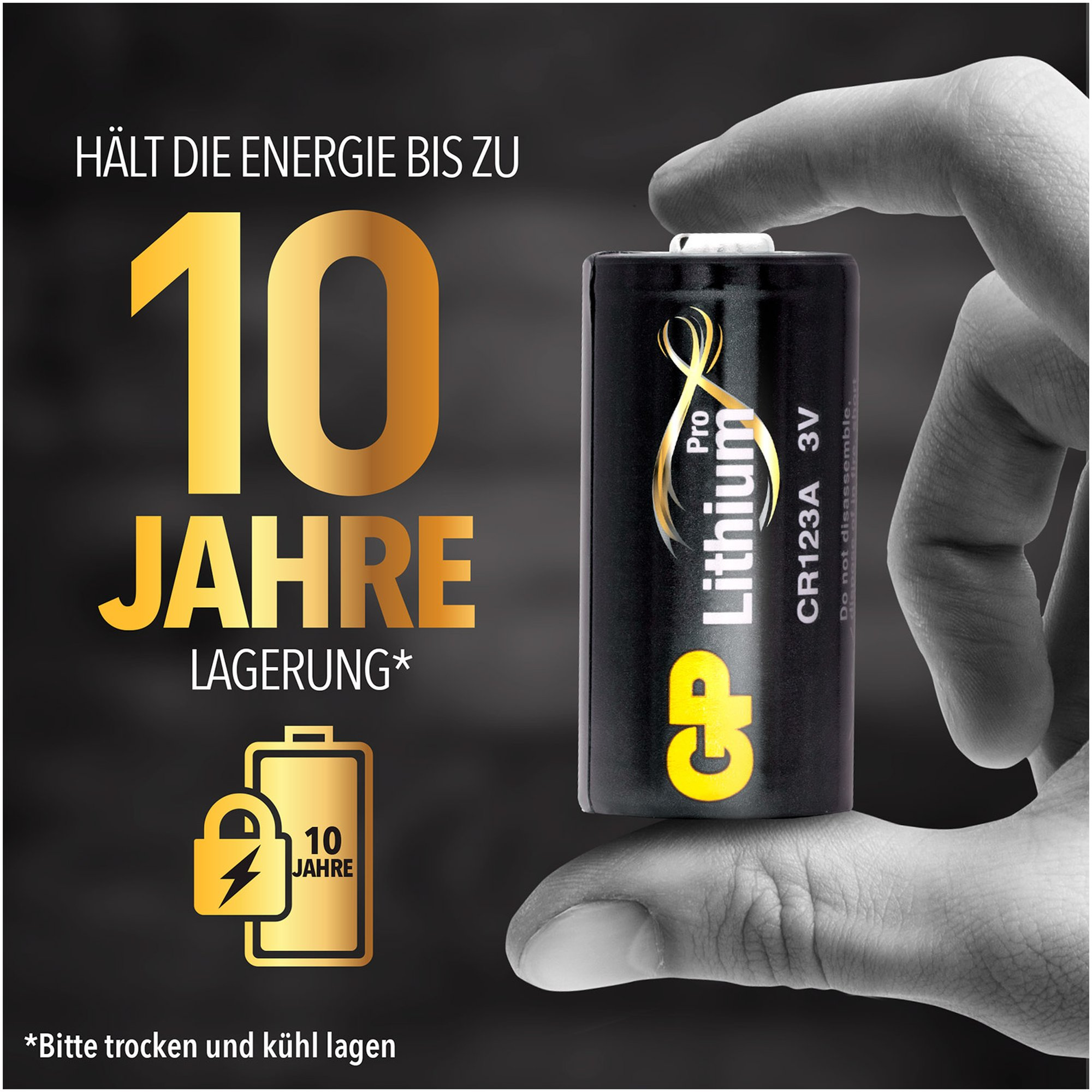 A battery with text and graphics.  It says '10 years storage' and a lock icon.