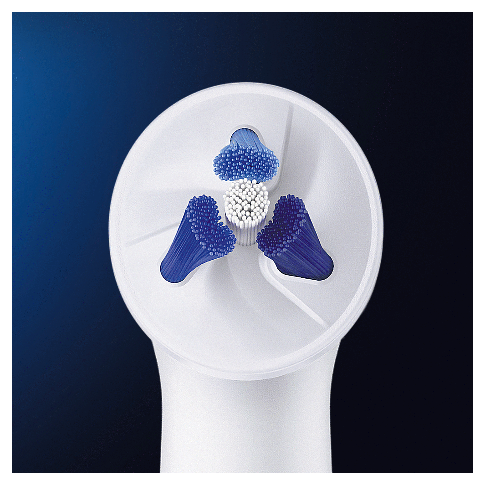 Zbliżenie białej główki szczoteczki do zębów z niebieskim i białym włosiem.