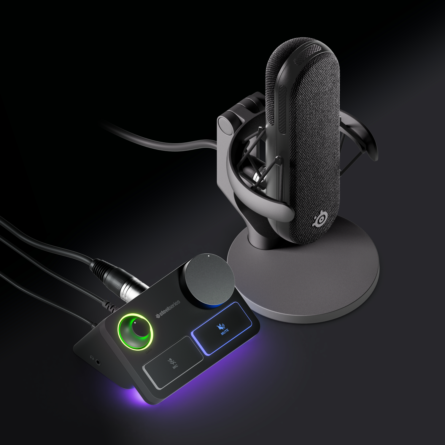 Mikrofon und Audio-Interface. Das Interface hat eine Lautstärkeregelung und eine Stummschalttaste.