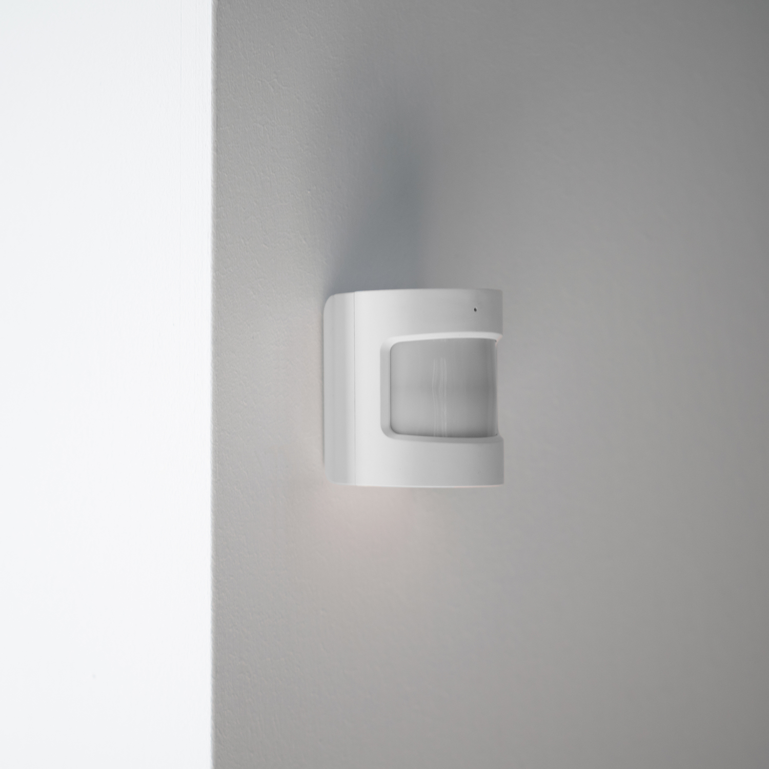 Ein weißer Bewegungssensor an einer Wand montiert, mit geschwungenem Design und transparentem Erkennungsbereich.