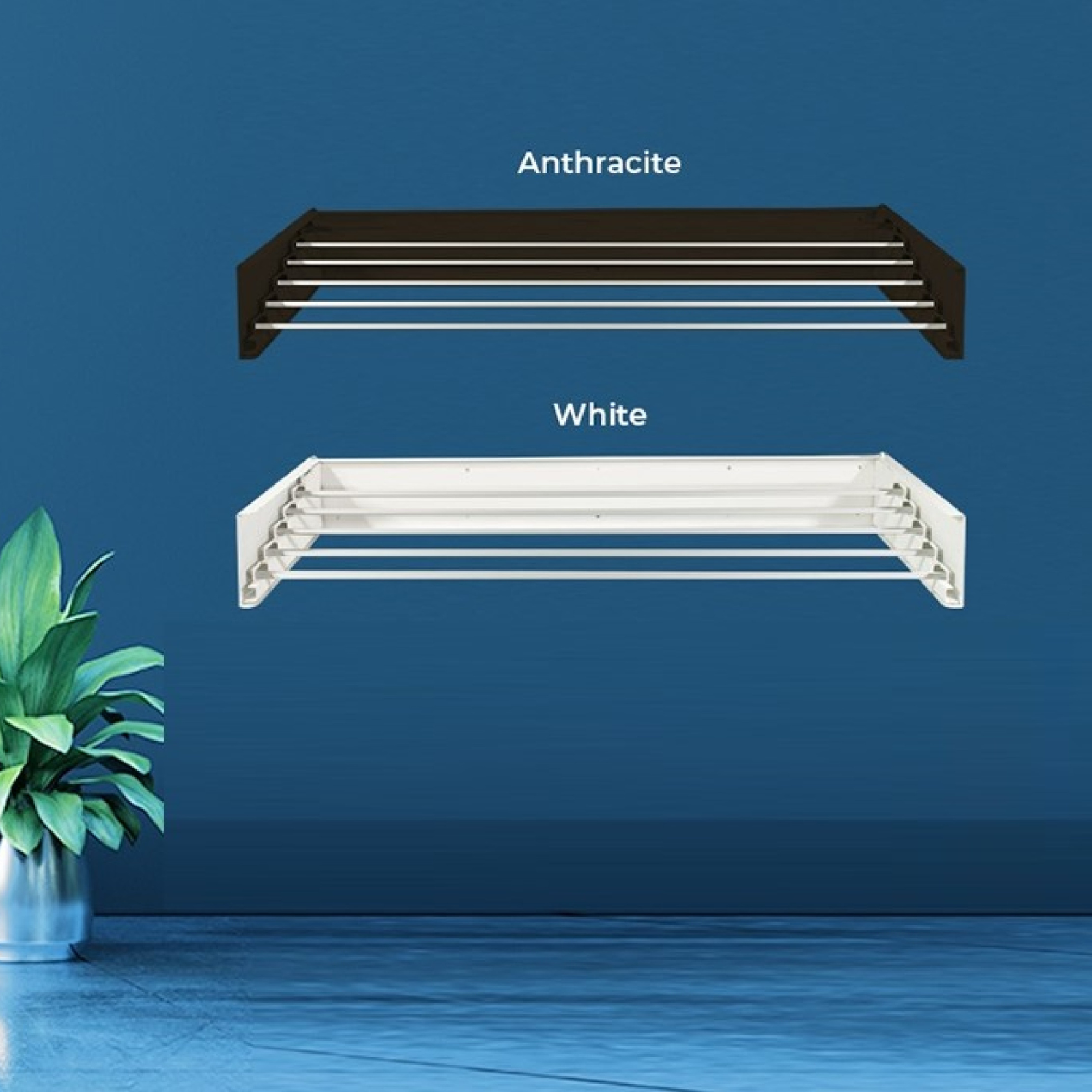 Due portasciugamani, uno nero e uno bianco, contro un muro blu. Una pianta è in primo piano.
