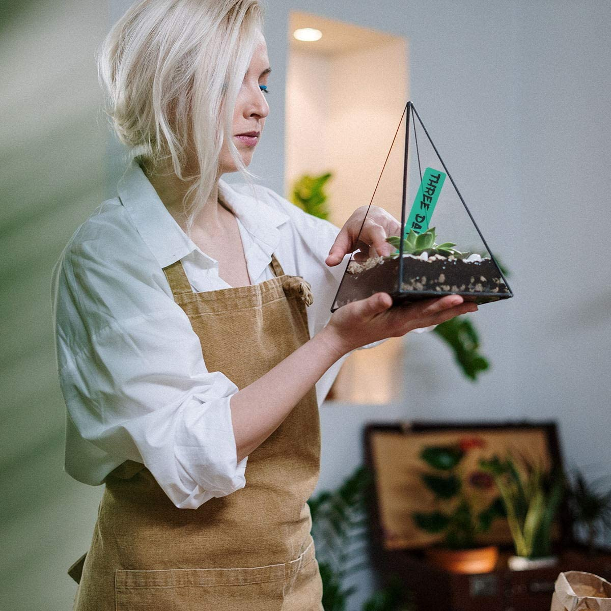 Eine Frau hält ein dreieckiges Glasterrarium mit Pflanzen, trägt eine Schürze.