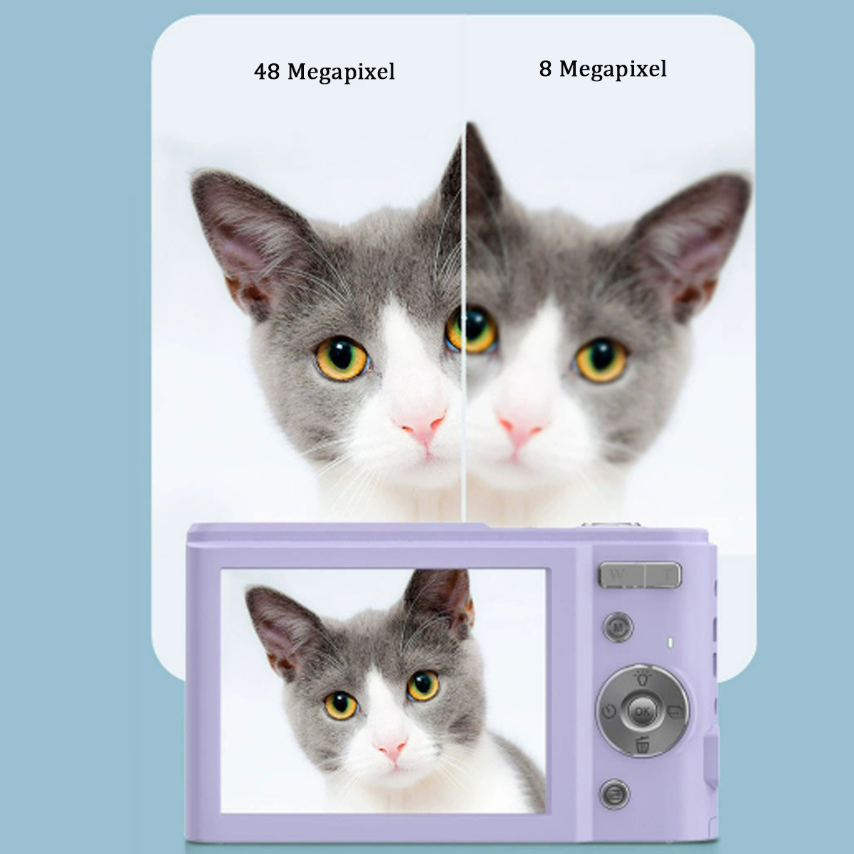 Foto einer Katze, geteilter Bildschirm mit 8 und 48 Megapixeln.