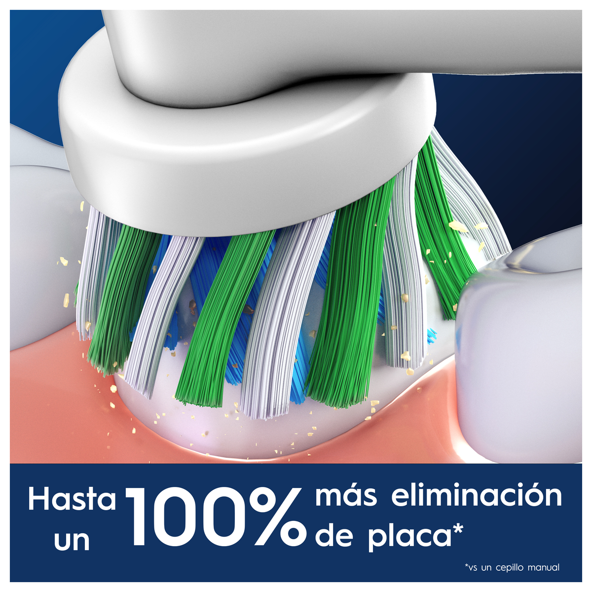 Primo piano delle setole dello spazzolino che puliscono i denti, con testo che indica la rimozione della placca.