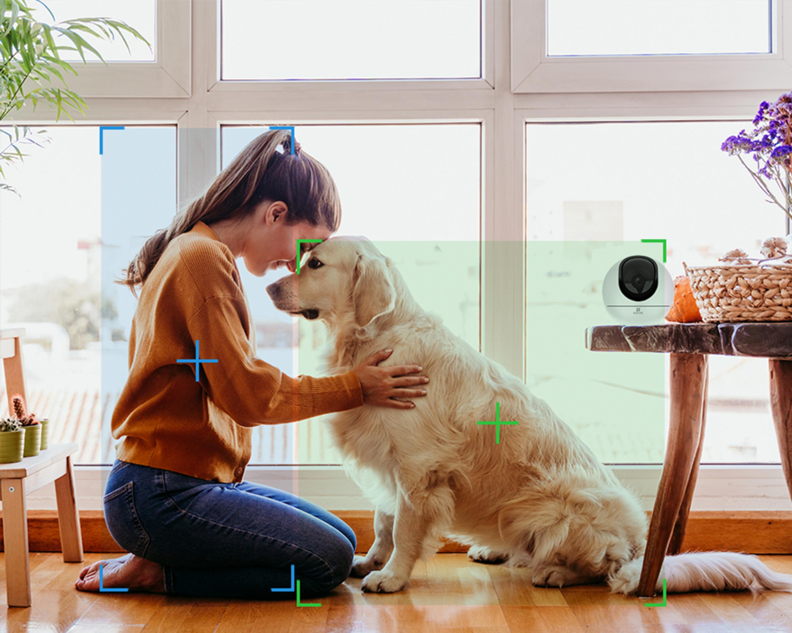 Una mujer y un perro en una casa, con una cámara de seguridad en una mesa cercana.