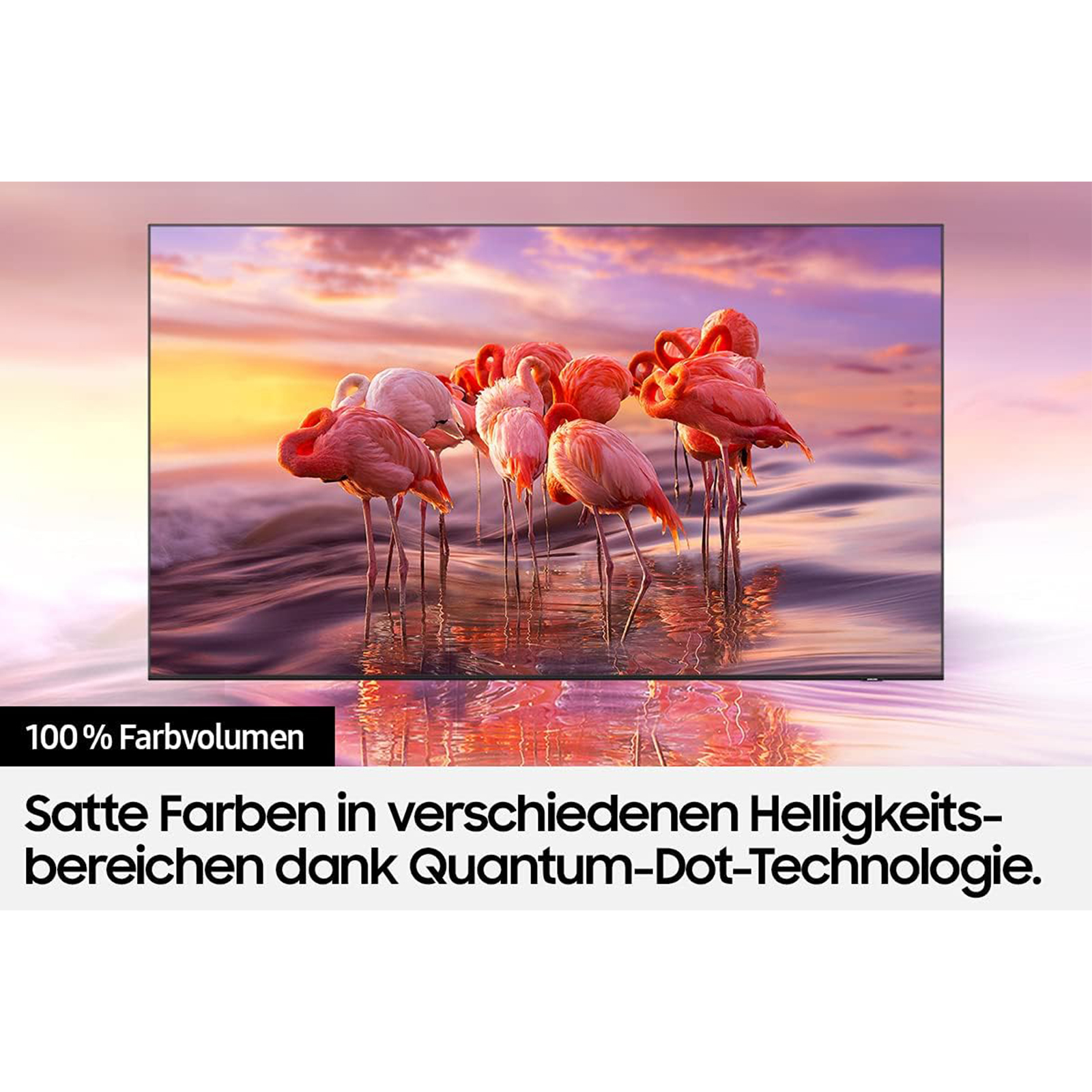 Ekran telewizora z flamingami i tekstem o gamie kolorów.