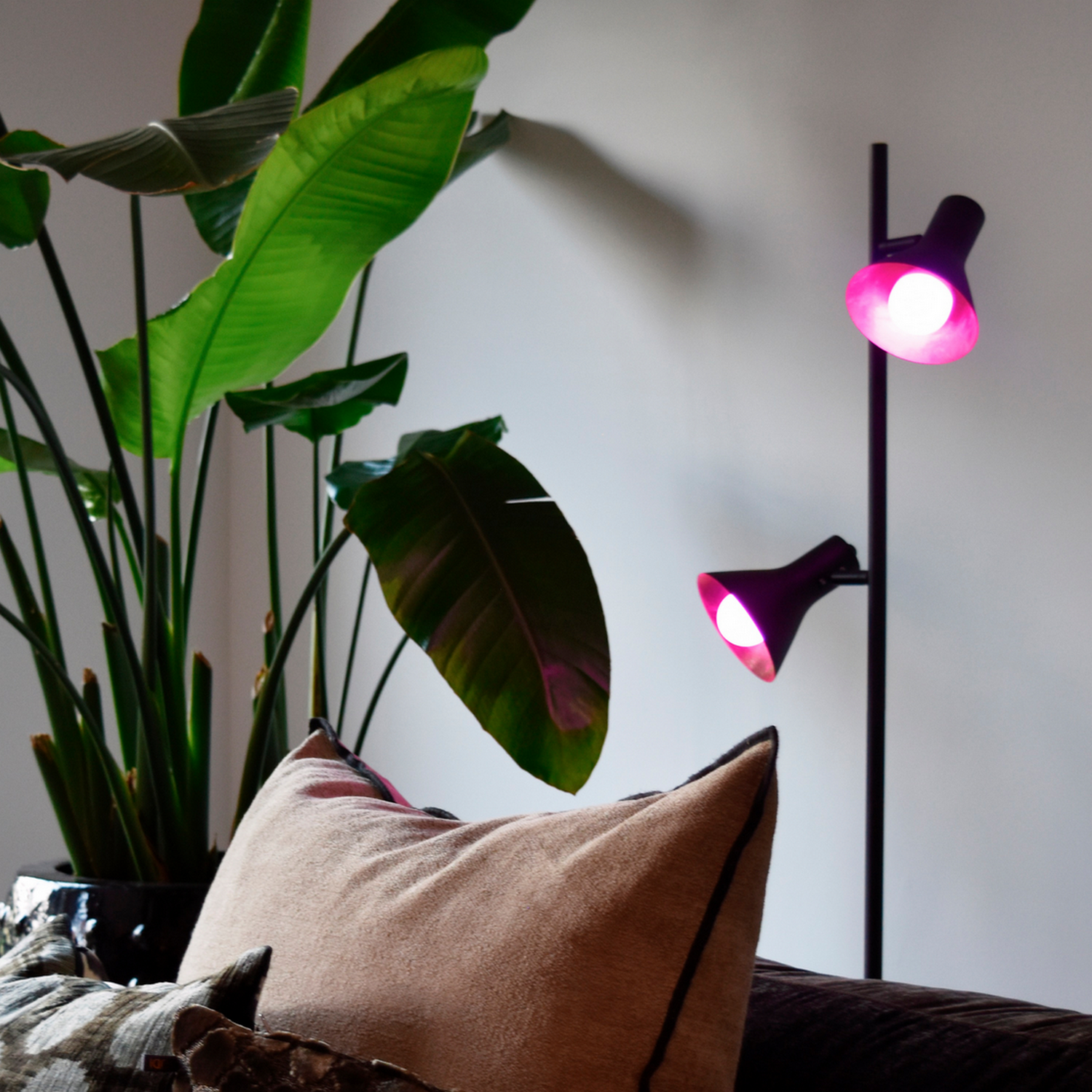 Una scena di salotto moderno. Una pianta, un divano e due lampade nere con luce rosa.