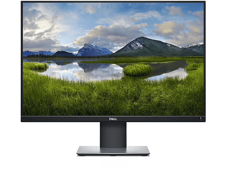 DELL P2421 24IN LCD BLACK 24,1 Zoll WUXGA Monitor (8 ms Reaktionszeit , 60 Hz , 60 Hz nativ)