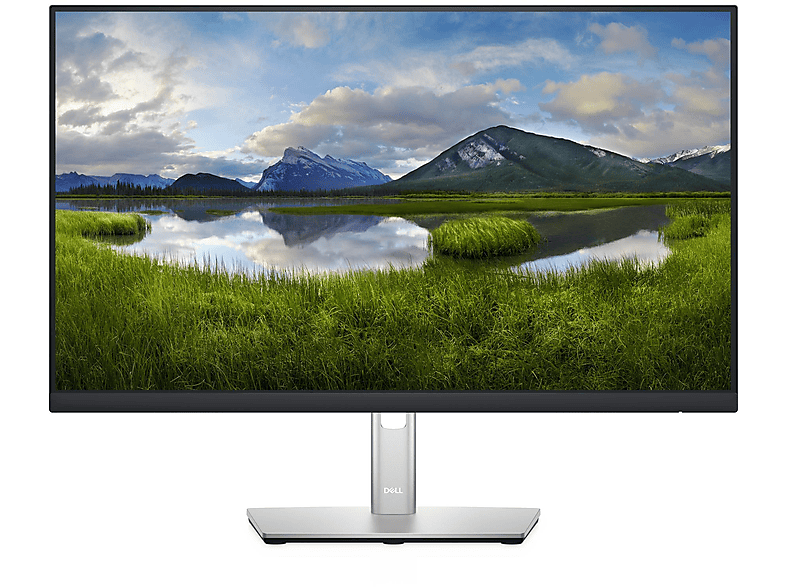 Monitor - DELL DELL-P2422H