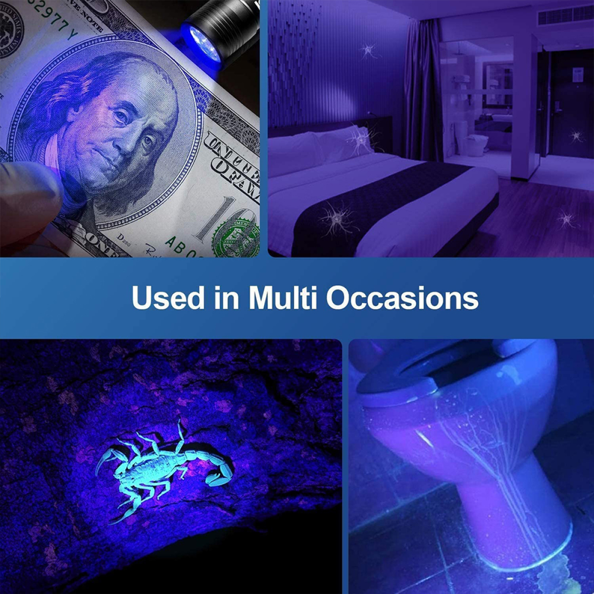 UV-Licht zur Erkennung von Falschgeld, ein Bett, ein Skorpion und eine Toilette.