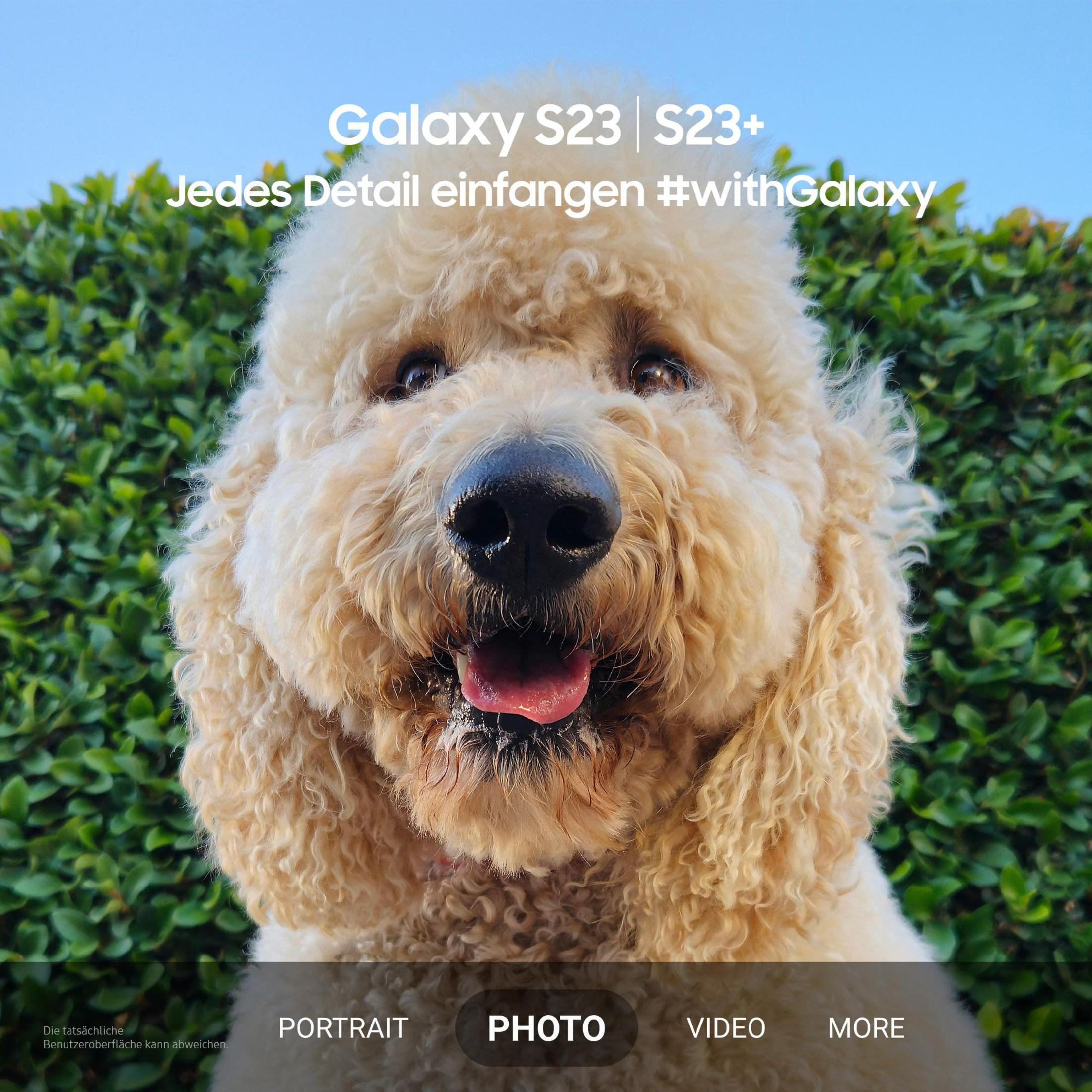 Golden doodle uśmiechający się do kamery, z zielonym tłem krzewów i reklamą Galaxy S23.