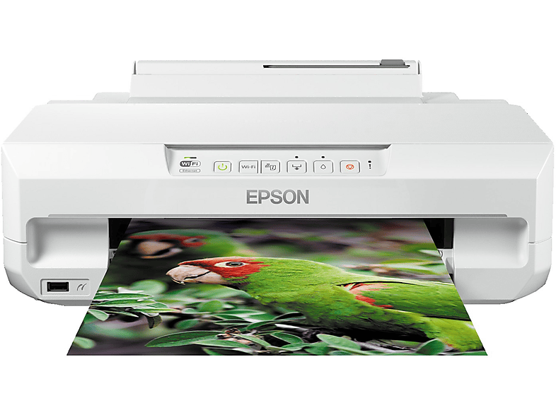 Impresora de tinta - EPSON Expression Photo XP-55