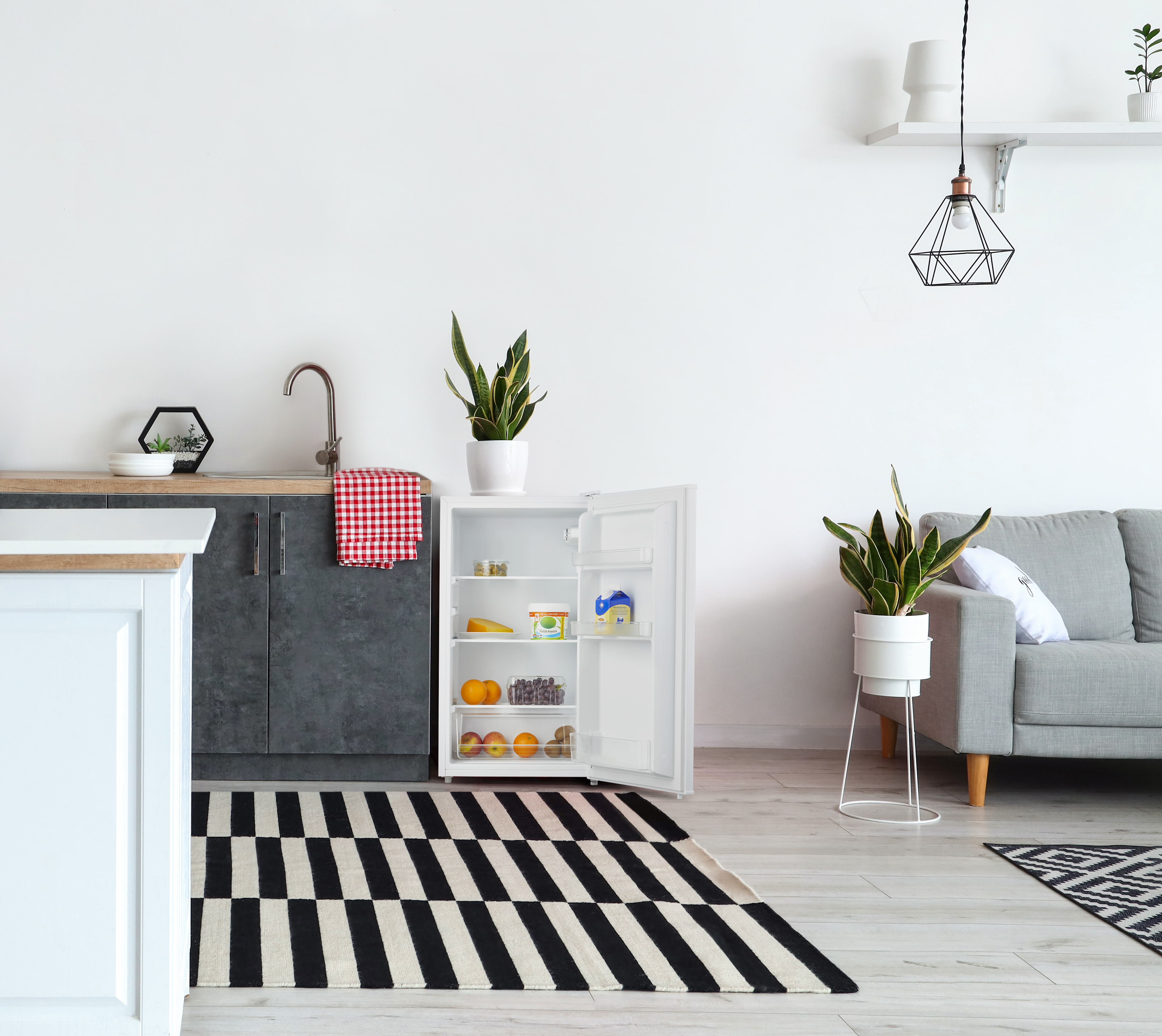 Scène de cuisine avec réfrigérateur, plantes et tapis noir et blanc.
