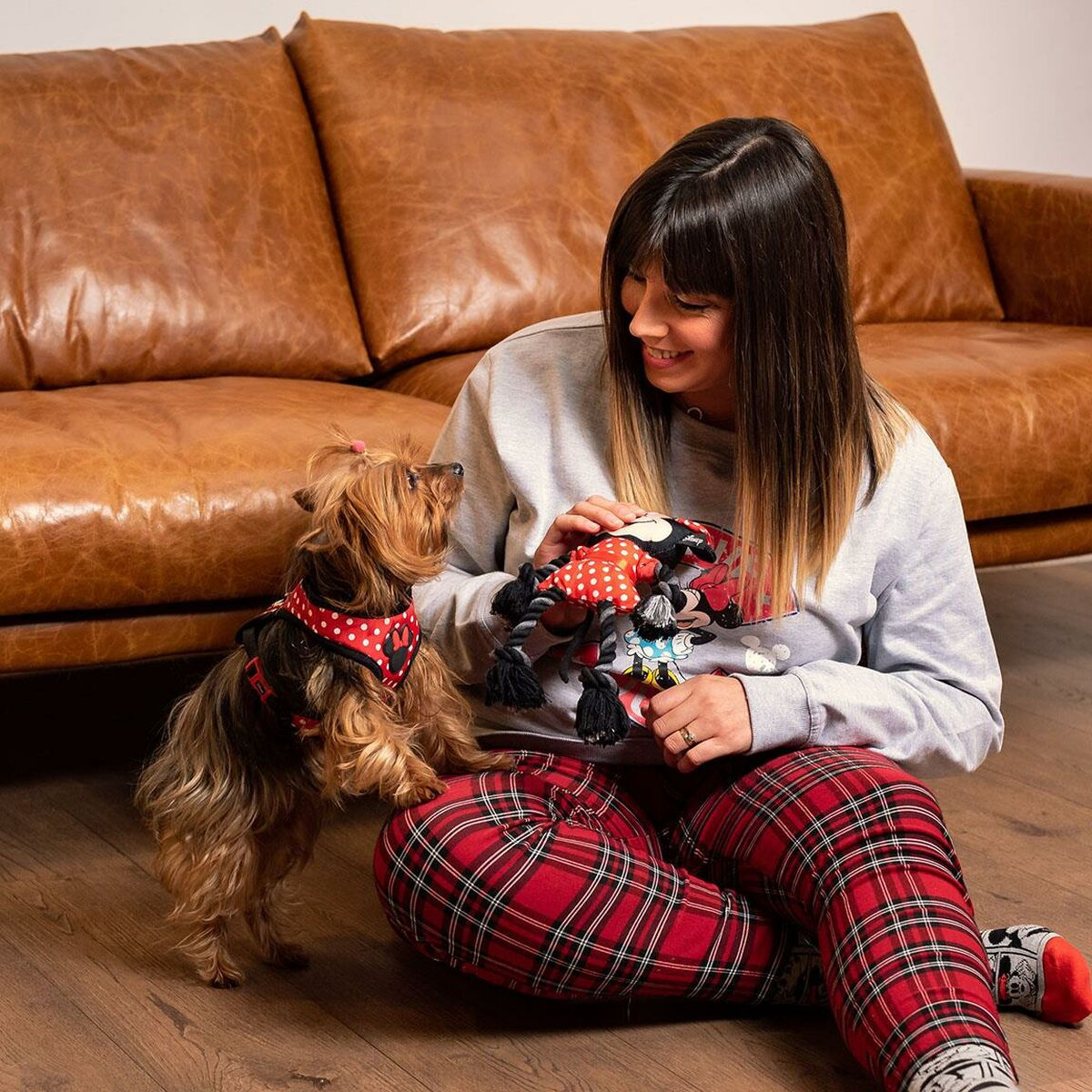 Una donna con un cane e dei giocattoli. La donna è seduta per terra, il cane in piedi.