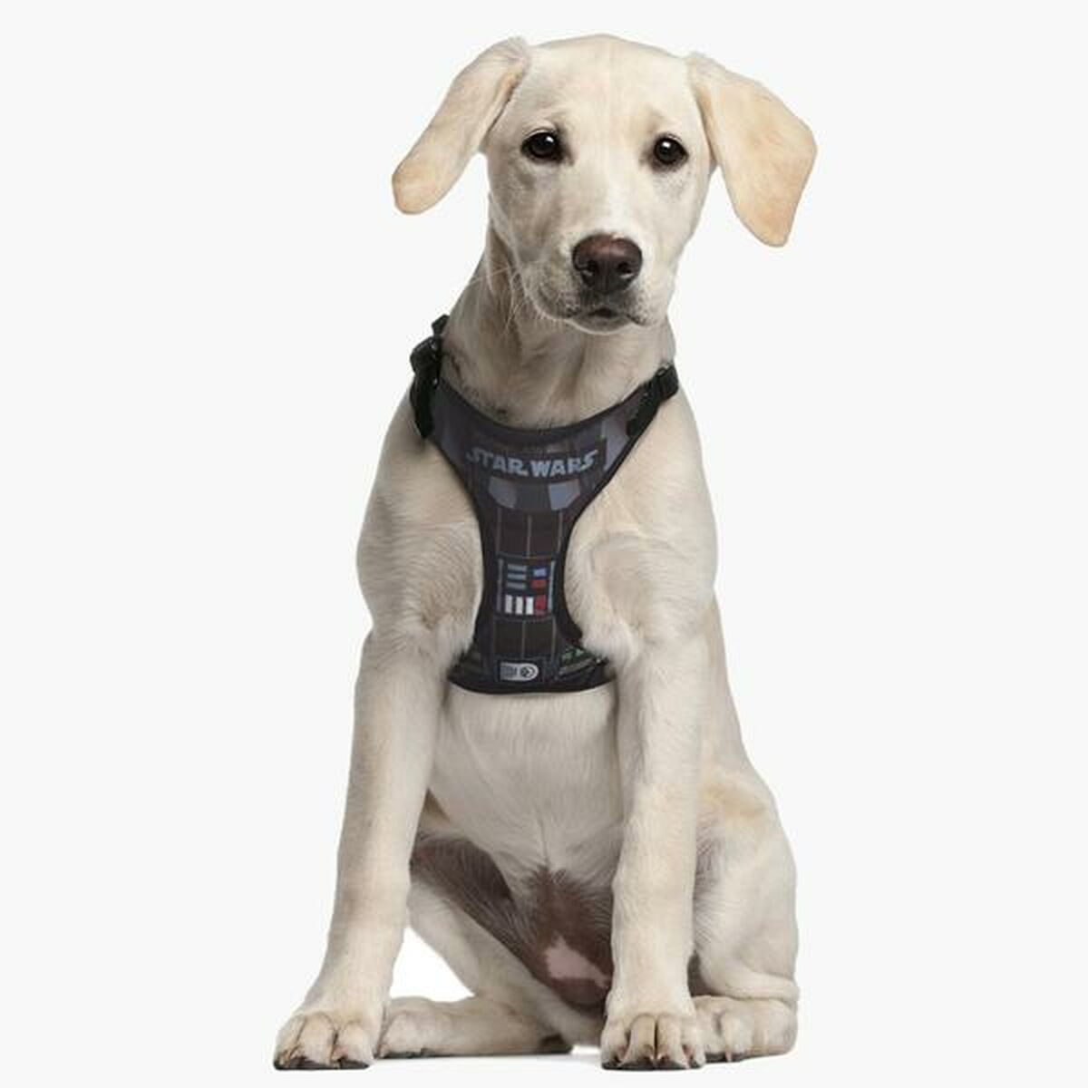 Ein weißer Labrador-Welpe trägt ein Star Wars-Geschirr, sitzt und schaut in die Kamera.