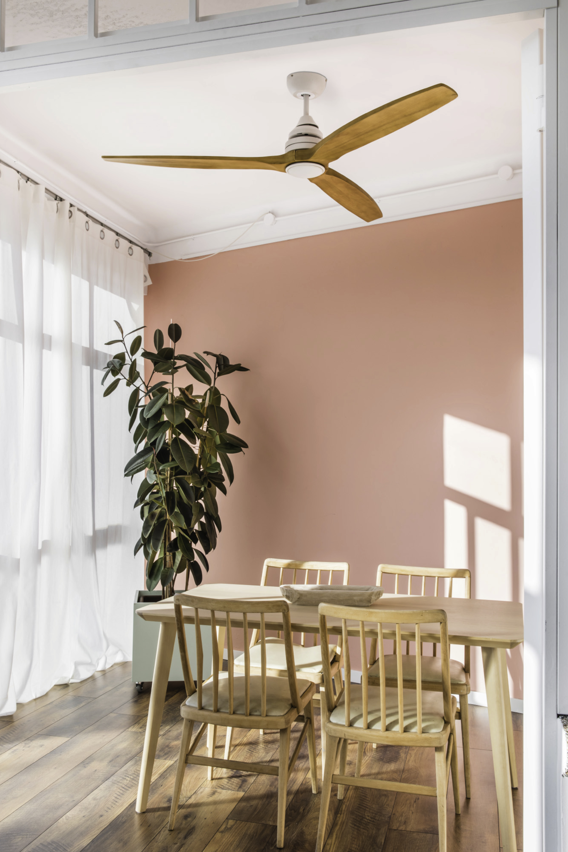 Ein Esszimmer mit Holzmöbeln, Deckenventilator, rosa Wand und hoher Pflanze.