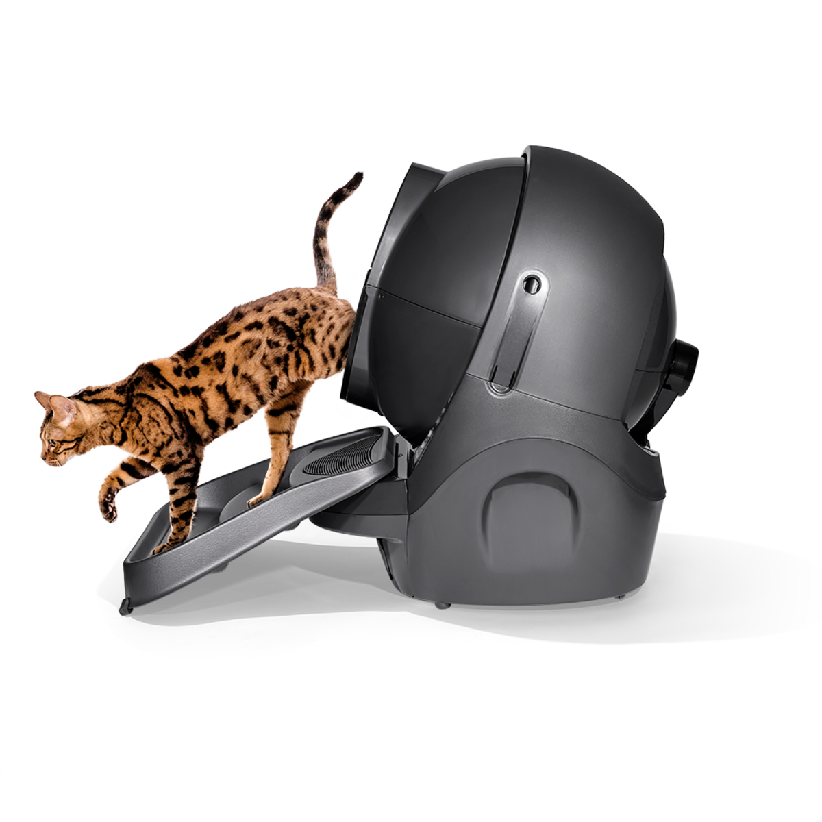 Kat stapt uit een automatische kattenbak, op een zwarte achtergrond.