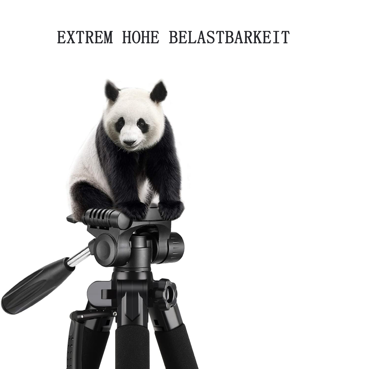 Panda-Bär sitzt auf einem Stativ, Text darüber: Extrem hohe Belastbarkeit.