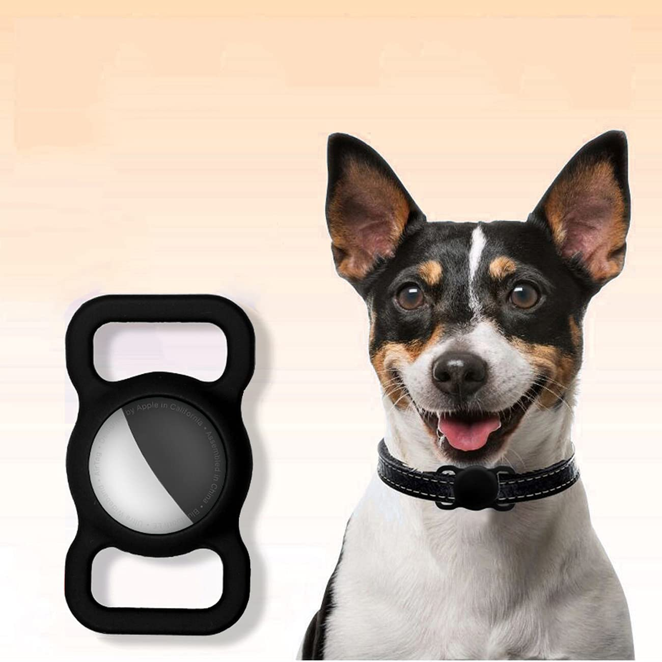 Cane con collare e un supporto nero per AirTag.