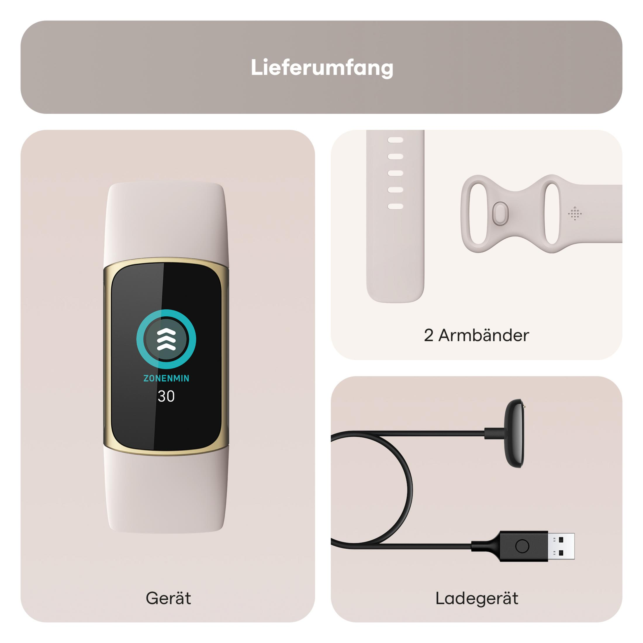 Smartwatch mit Display, zwei Armbändern und einem Ladegerät. Die Artikel sind hellbeige.