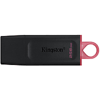 Kingston DataTraveler Exodia 256GB