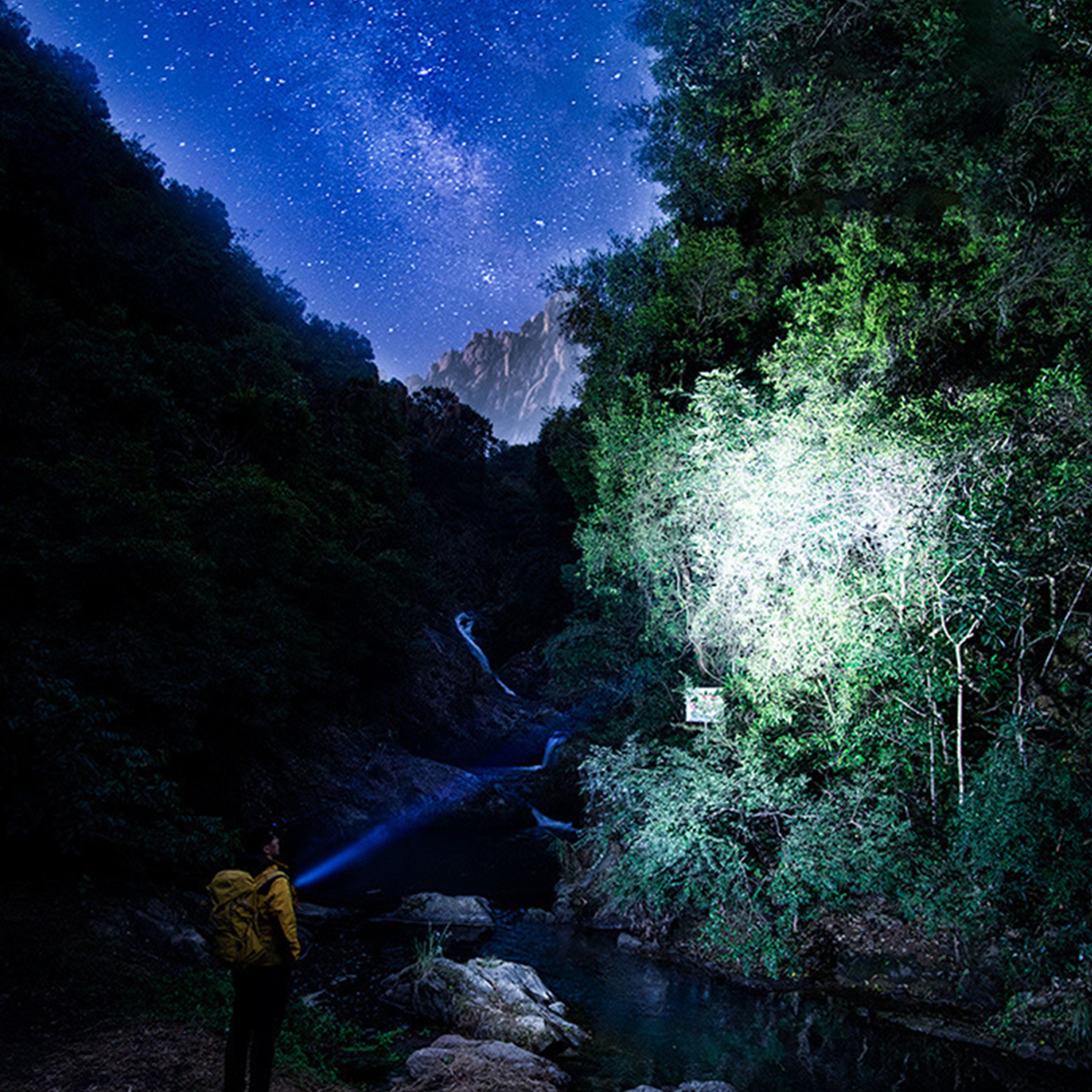 Ein Wanderer mit gelbem Rucksack benutzt eine Taschenlampe in einem dunklen Wald unter Sternenhimmel.