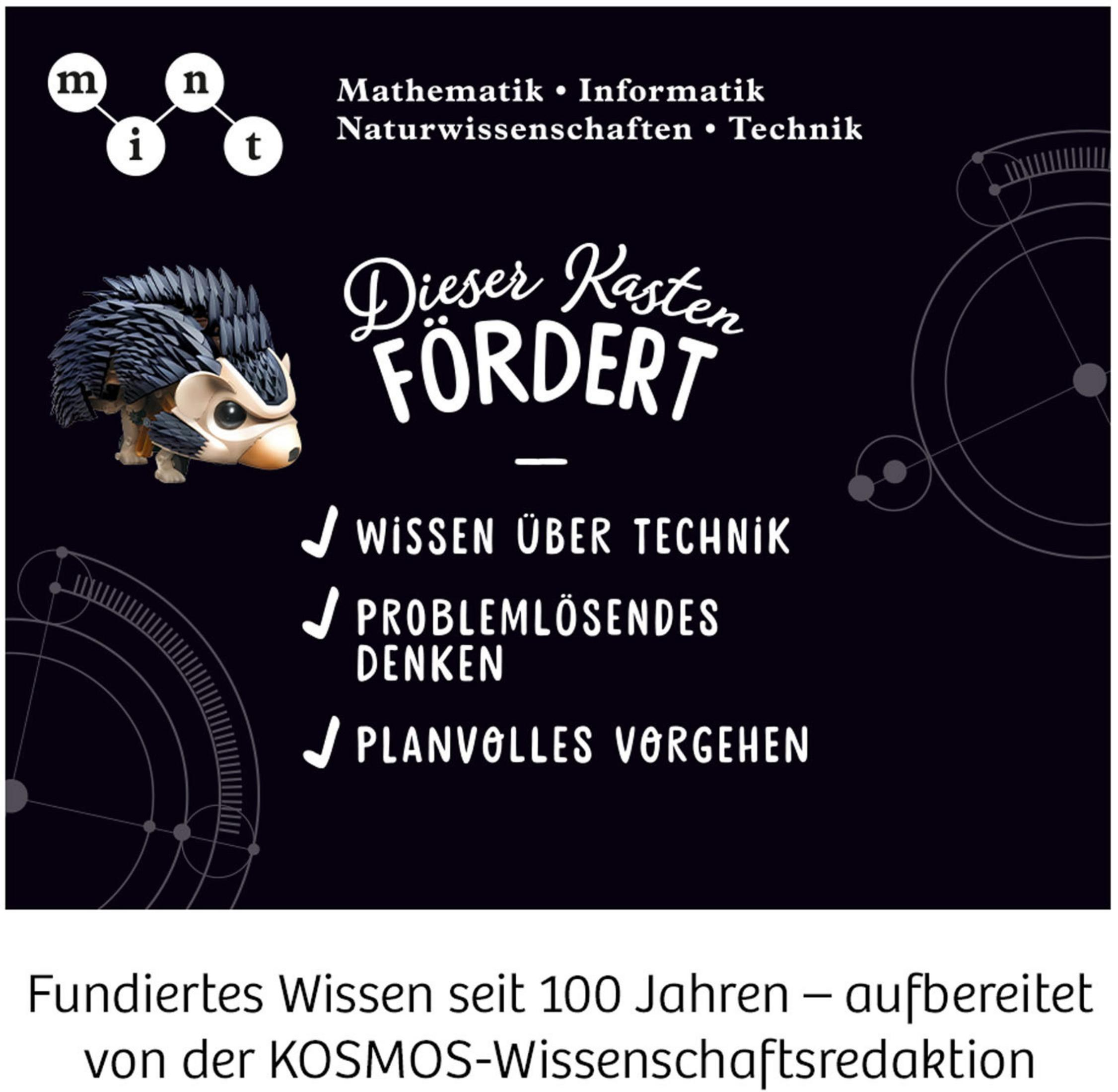 Schwarzer Hintergrund mit Text, der Wissen über Technik, Problemlösung und Planung fördert. Ein Igel ist abgebildet.