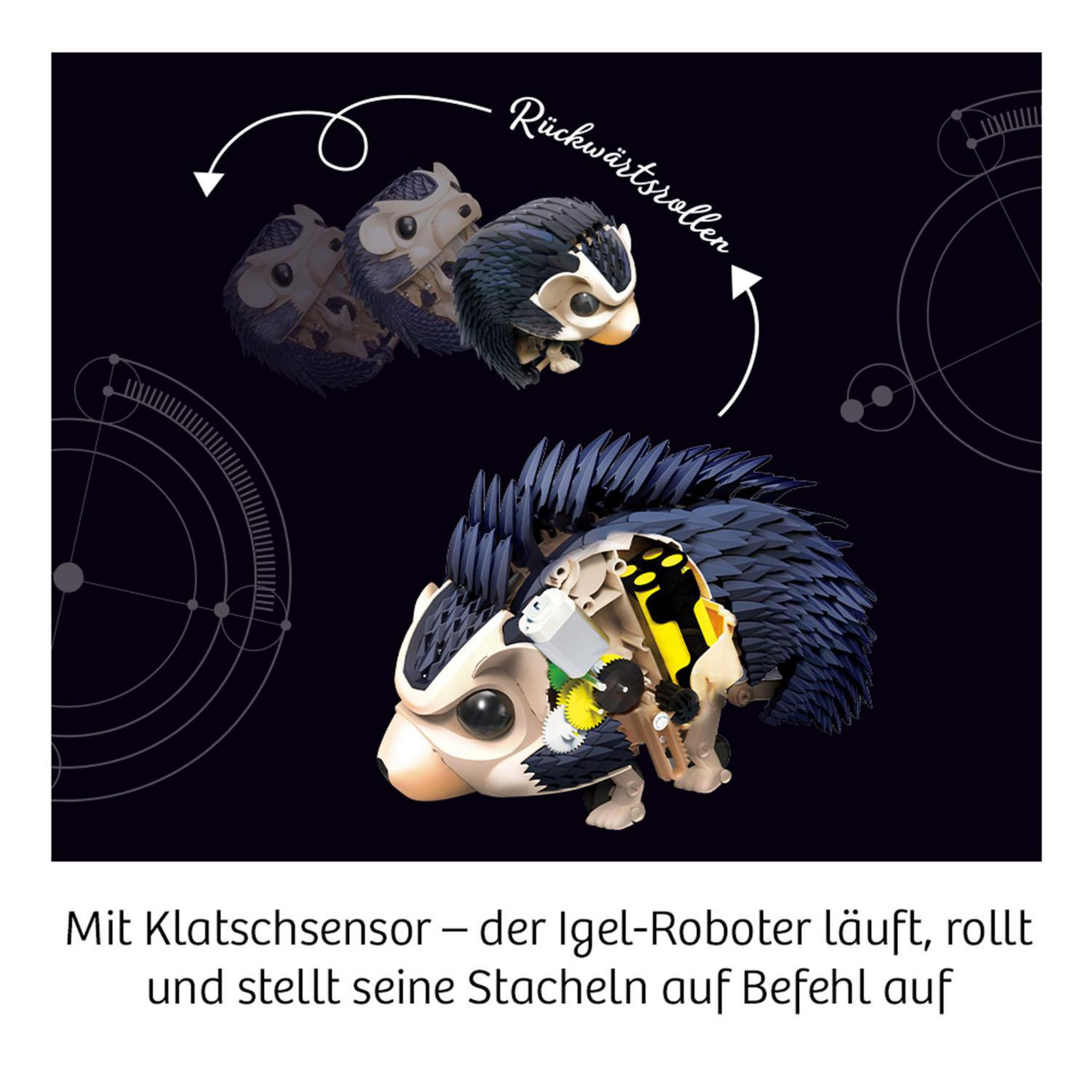 Roboter-Igel-Spielzeug rollt und zeigt Details seiner Teile mit Text und Grafiken.