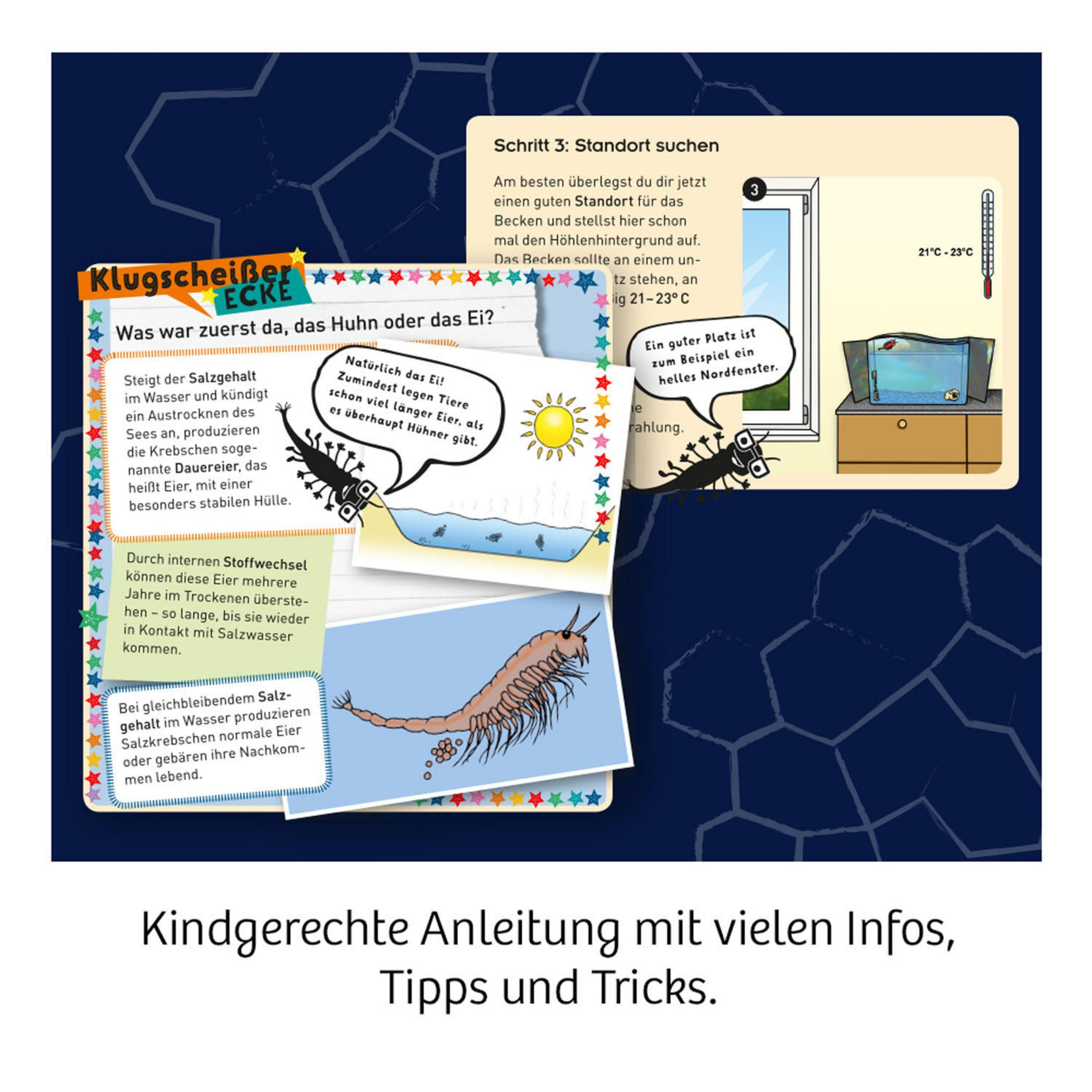 Eine Seite mit Kinderanweisungen, einschließlich einer Abbildung mit Sonne und Meeresbewohnern.