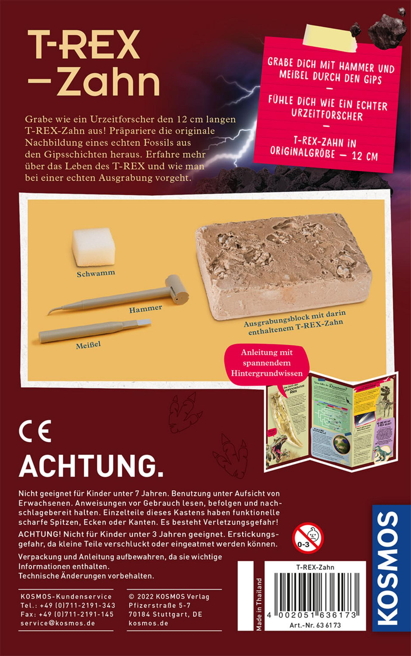 Box mit einem T-Rex-Zahn-Ausgrabungs-Kit. Enthält Werkzeuge und eine T-Rex-Zahn-Replik.