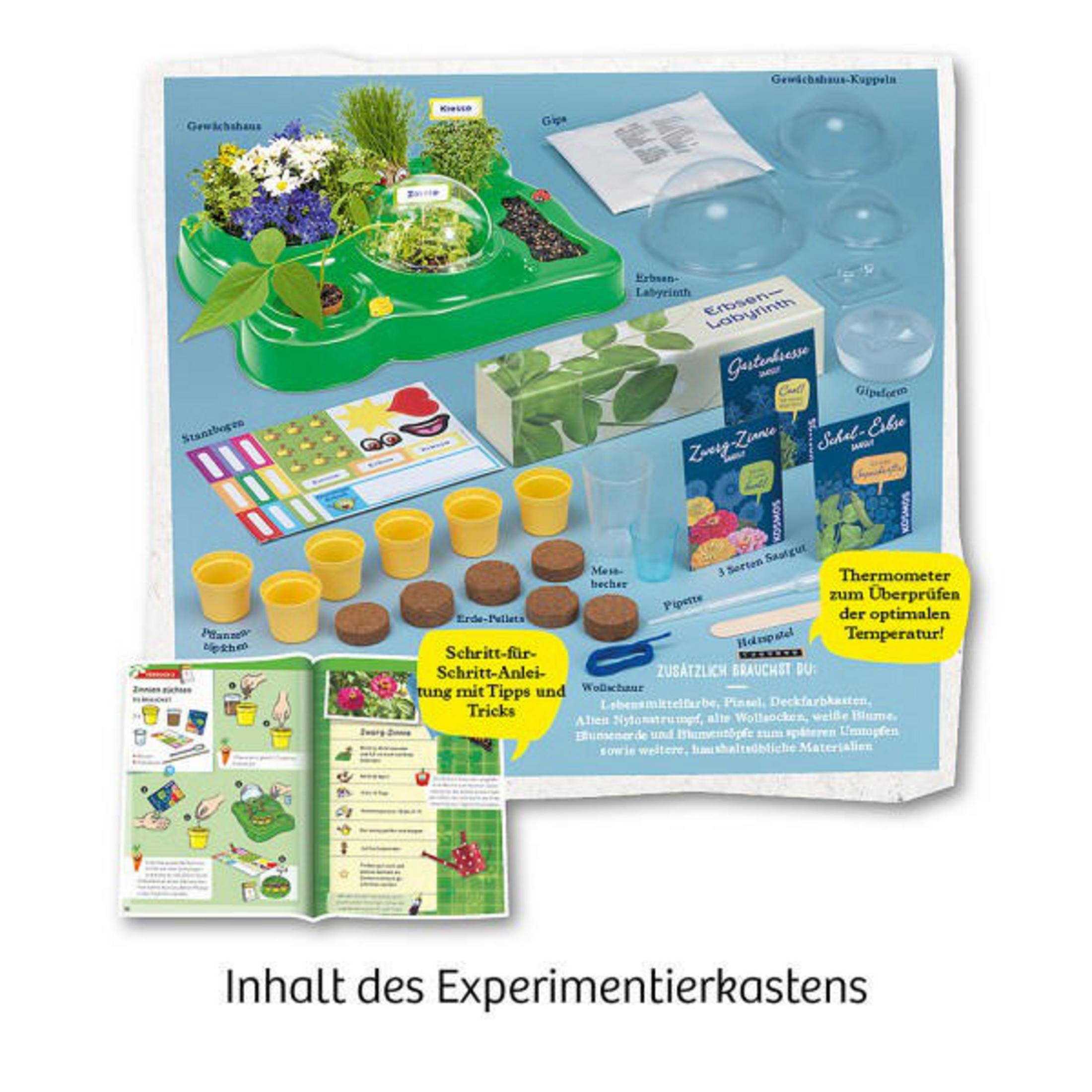 Ein grünes Wissenschafts-Kit mit Pflanzen und Werkzeugen, einschließlich eines Heftes und Anweisungen.
