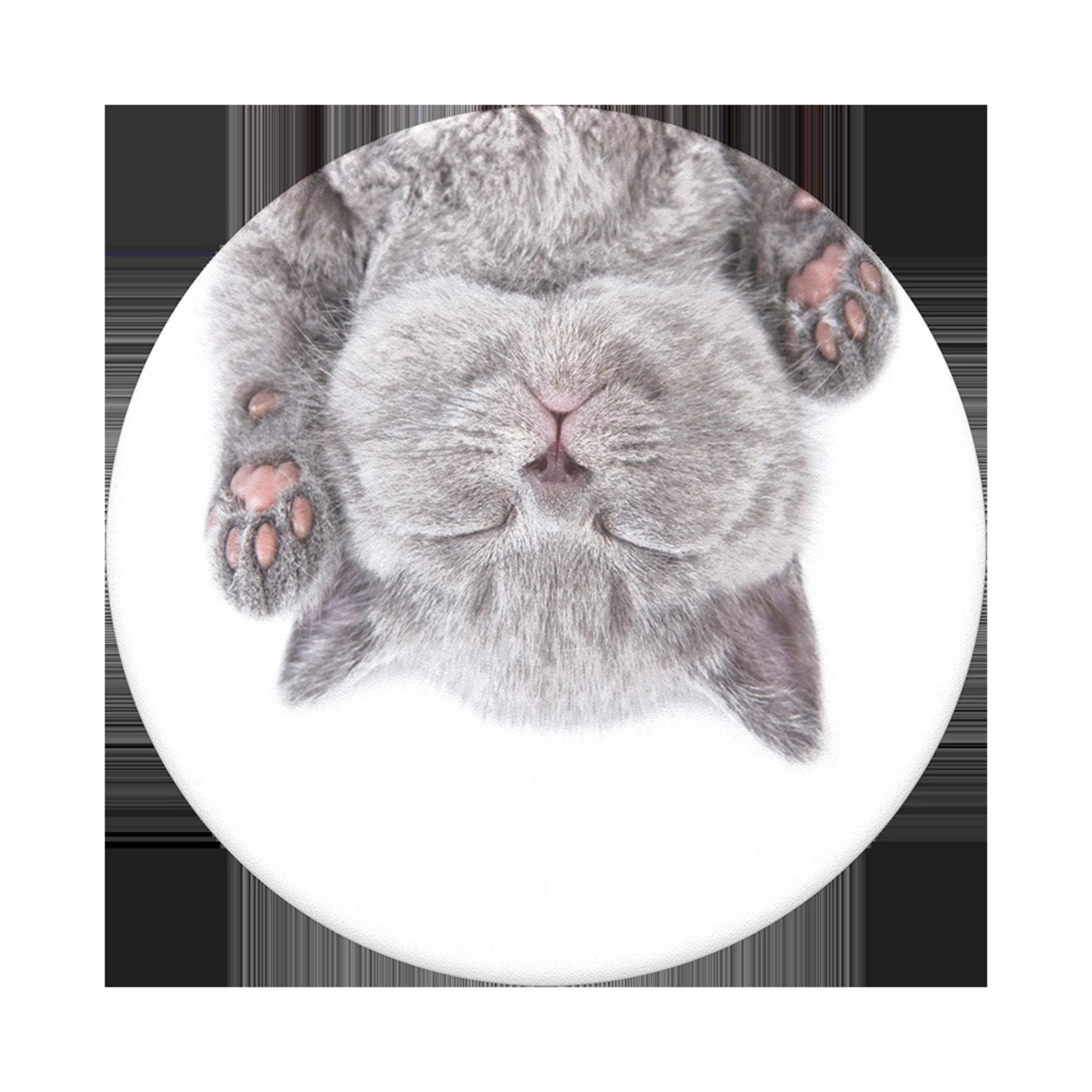 Auf dem Kopf stehende graue Katze auf einem weißen Kreis. Die Katze liegt mit geschlossenen Augen.