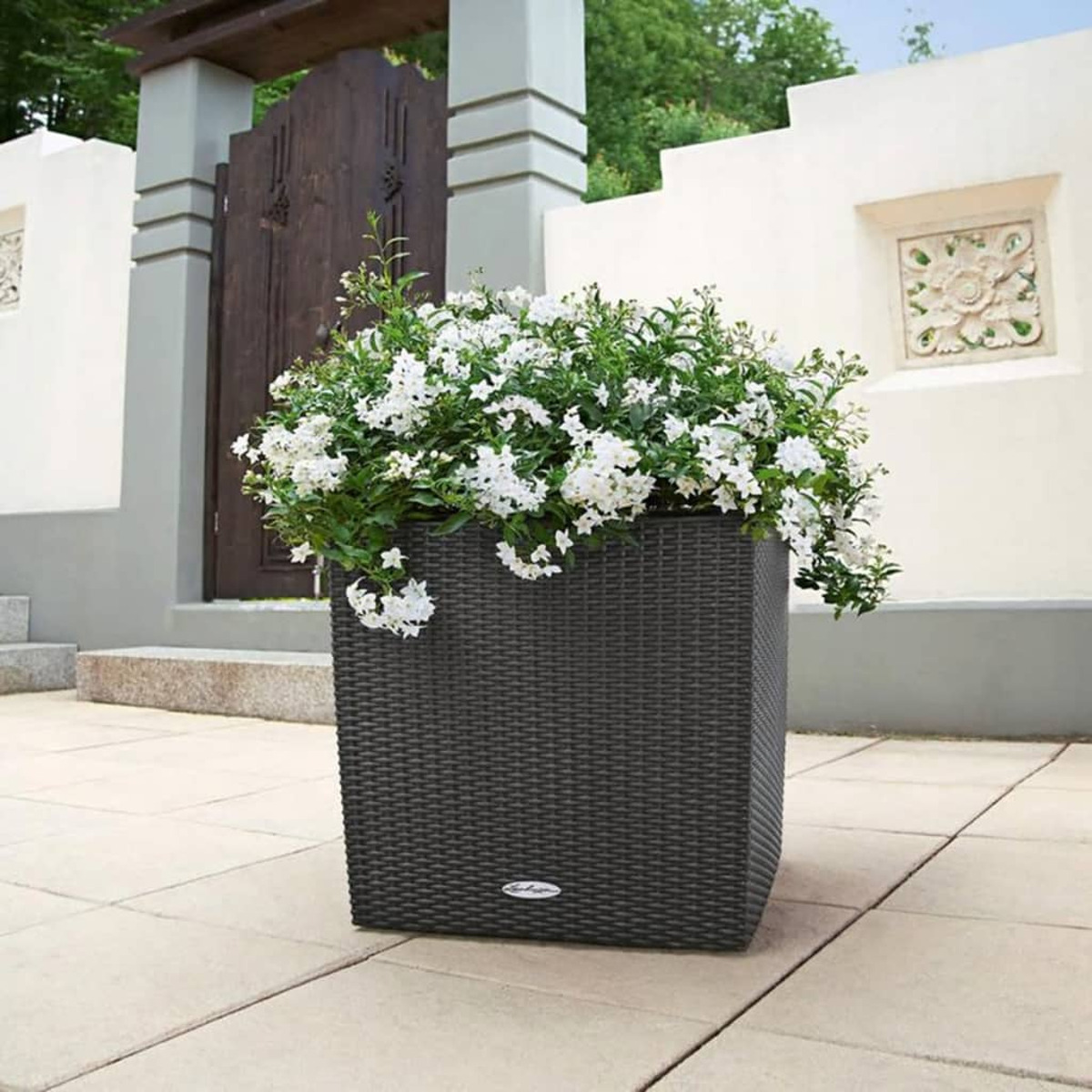 Jardinière tissée gris foncé remplie de fleurs blanches, contre un mur blanc.