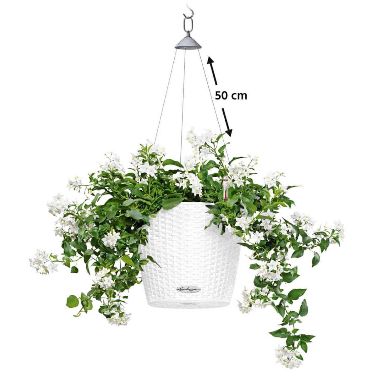 Weißer hängender Blumenkorb mit weißen Blumen. Der Abstand zur Decke beträgt 50 cm.