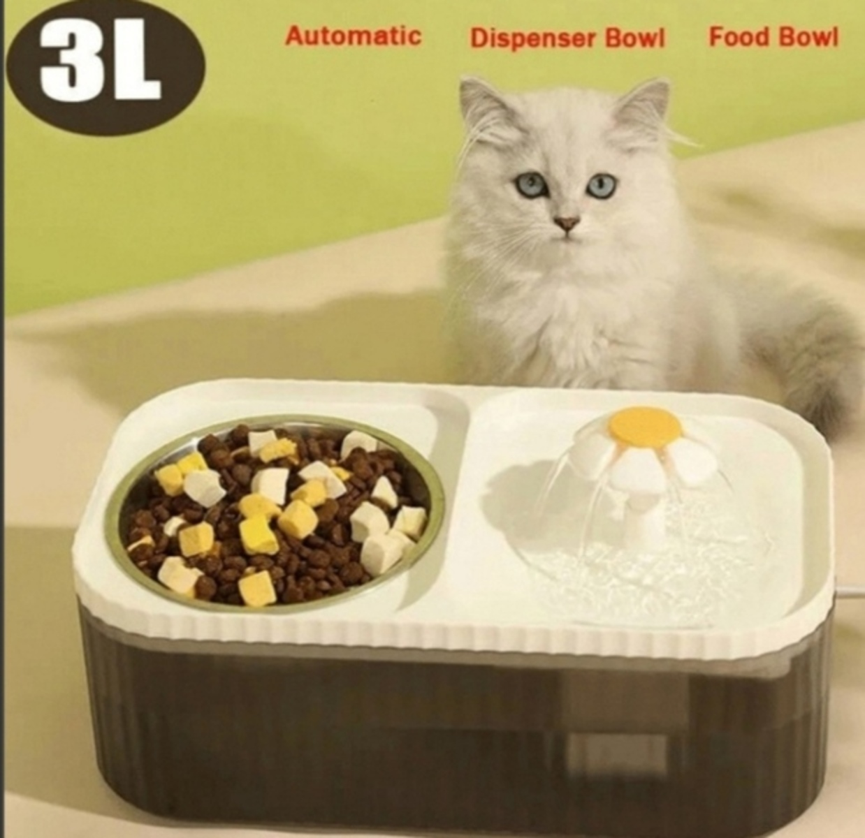 Un gatto bianco guarda l'osservatore. Davanti c'è un distributore di cibo e acqua in 2 parti.