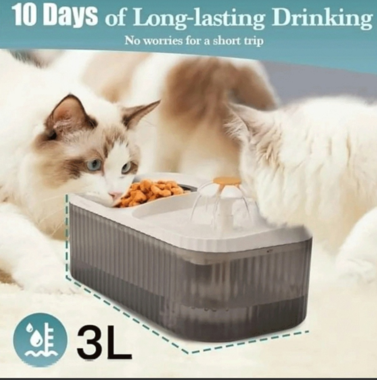 Due gatti usano una ciotola per acqua e cibo, con l'immagine che dice 3L, per 10 giorni.