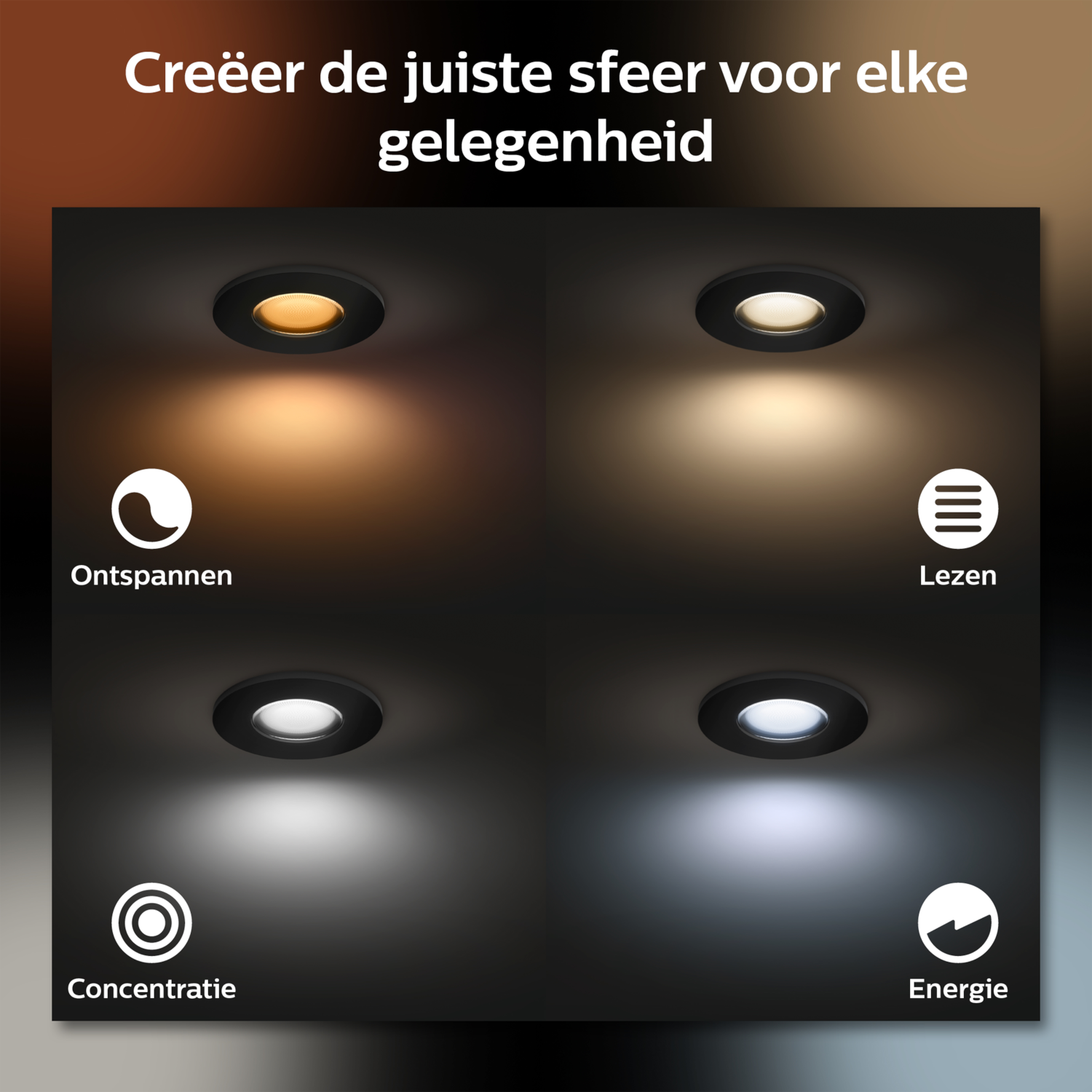 Quattro faretti che illuminano un soffitto scuro. Ognuno ha un tono di luce diverso.