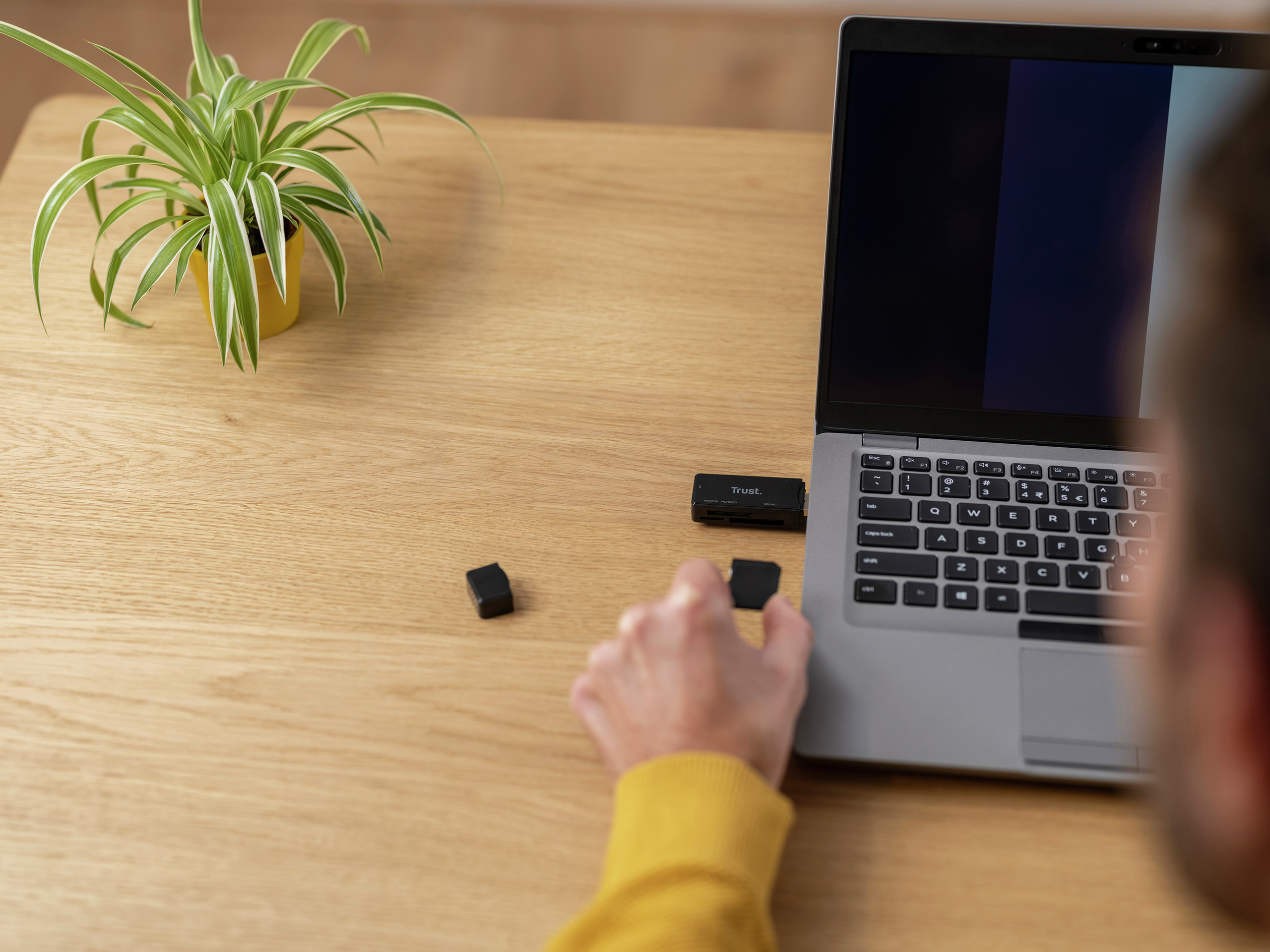 Osoba korzystająca z laptopa, urządzenia USB i dwóch czarnych przedmiotów na drewnianym biurku. Roślina w tle.