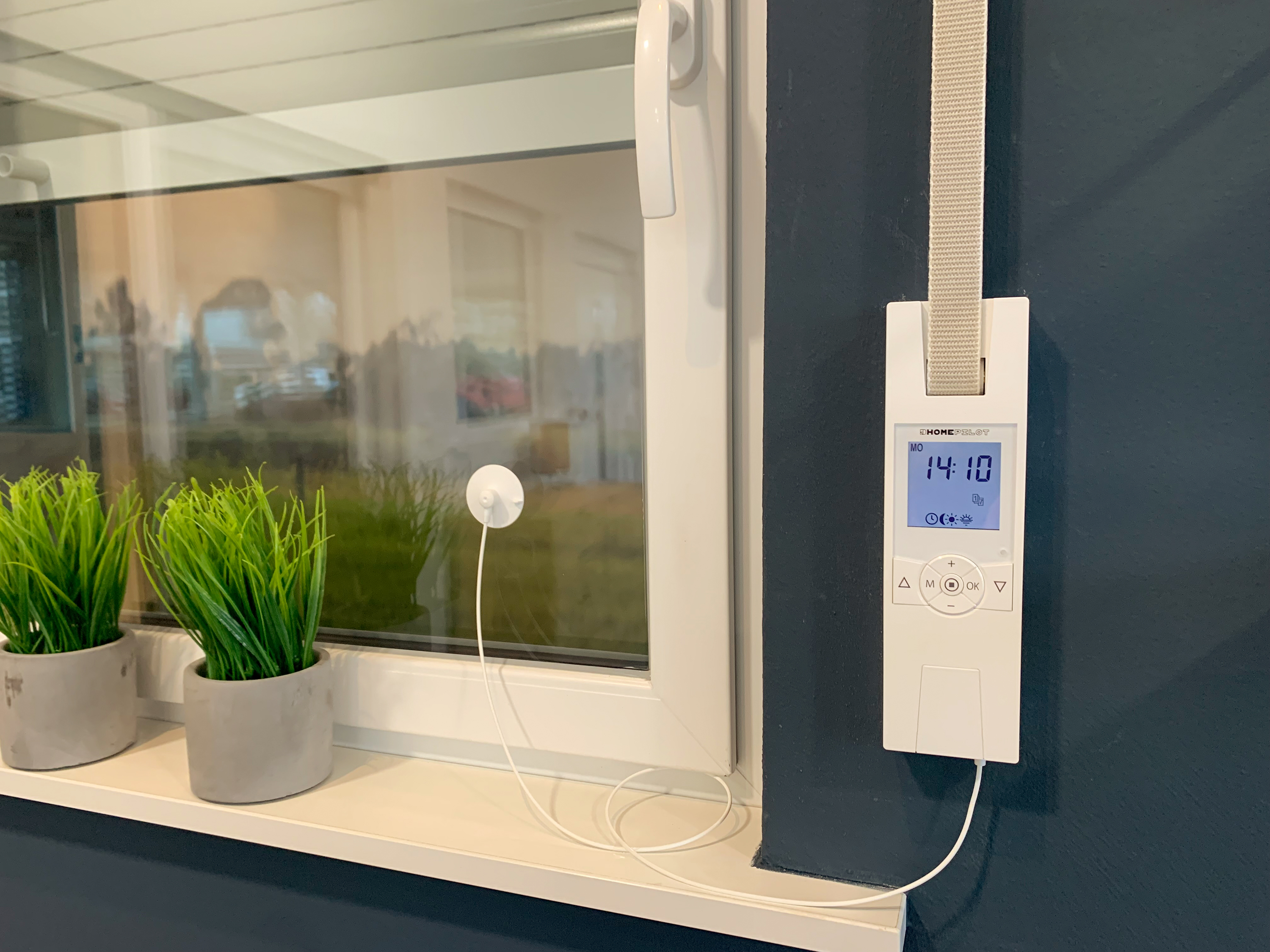 Fenster mit weißem Rahmen. Eine Digitaluhr ist an einer blauen Wand montiert. Grüne Pflanzen sind in Töpfen.