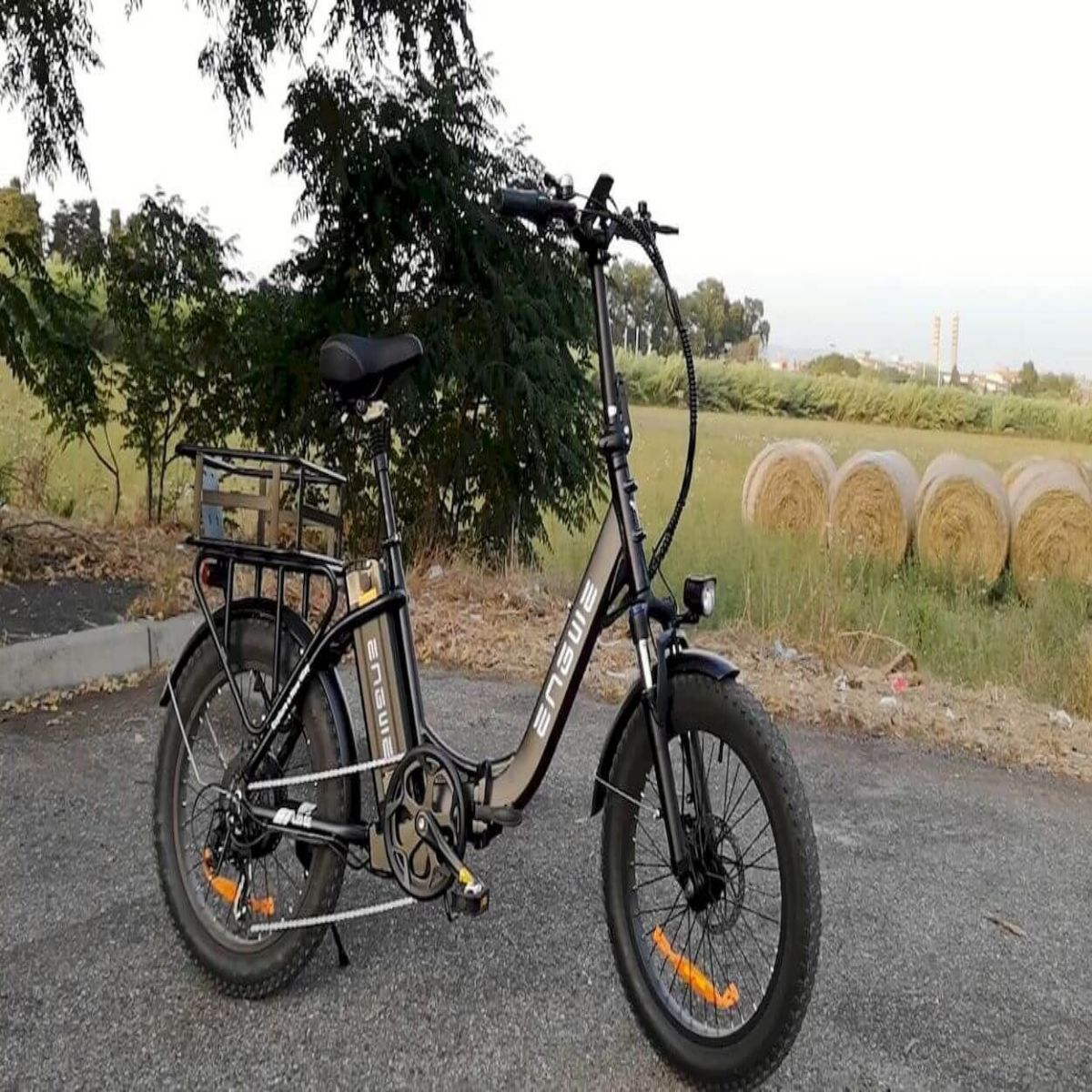Bicicletta elettrica nera su strada, circondata dalla natura.