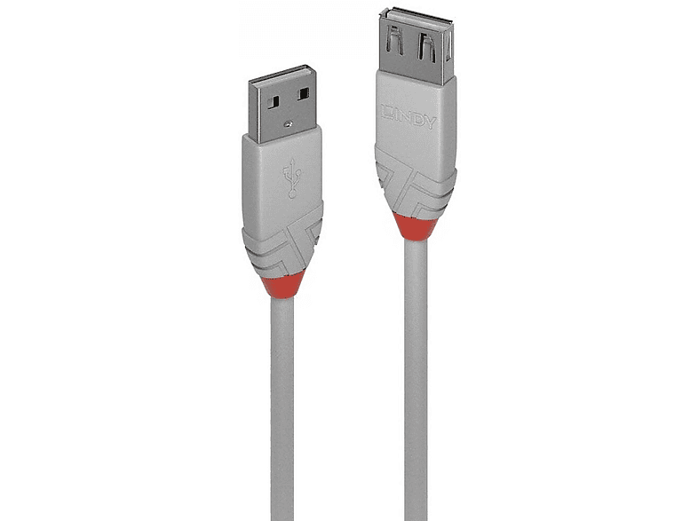 LINDY Cavo USB 2.0, da connettore C a connettore B, 3,0 m