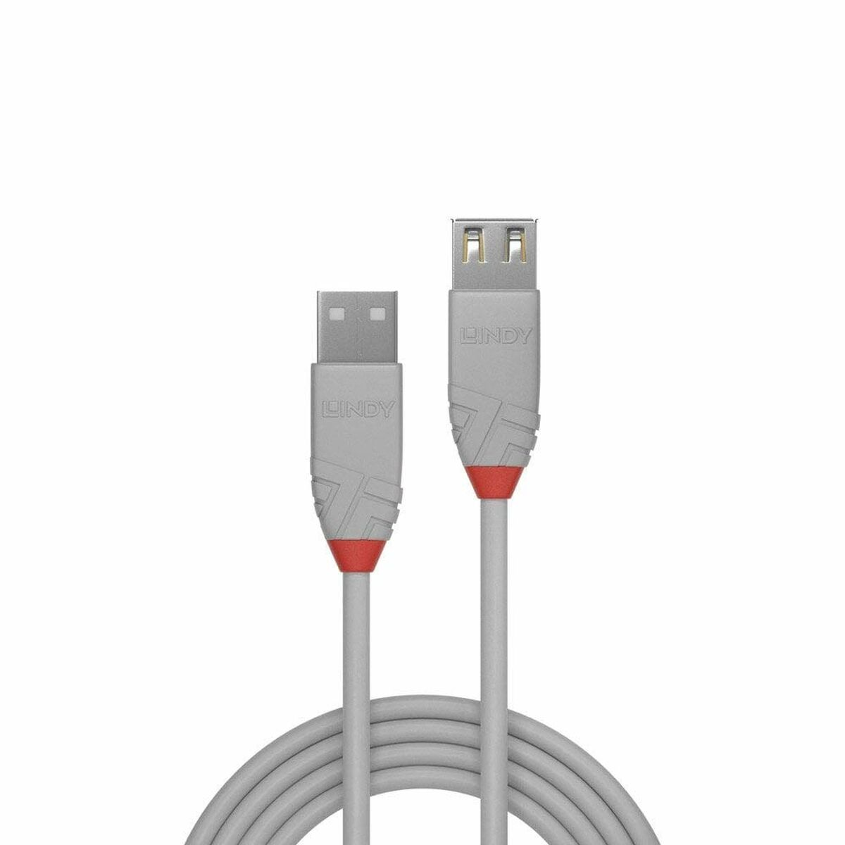 Cavi USB grigi e rossi, due connettori visibili. I cavi sono raggruppati.