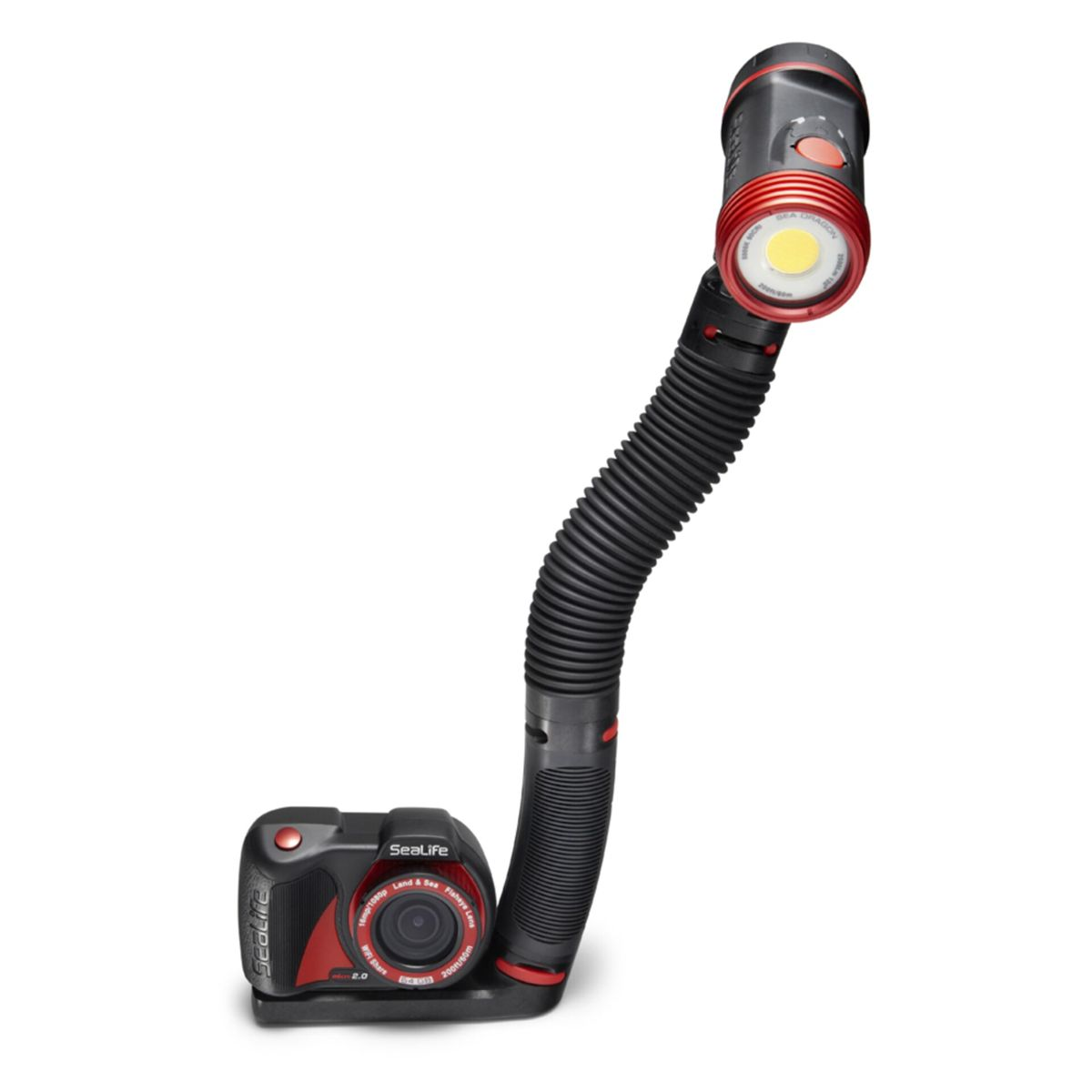 Unterwasserkamera mit flexiblem Arm und Licht. Die Kamera ist rot und schwarz.