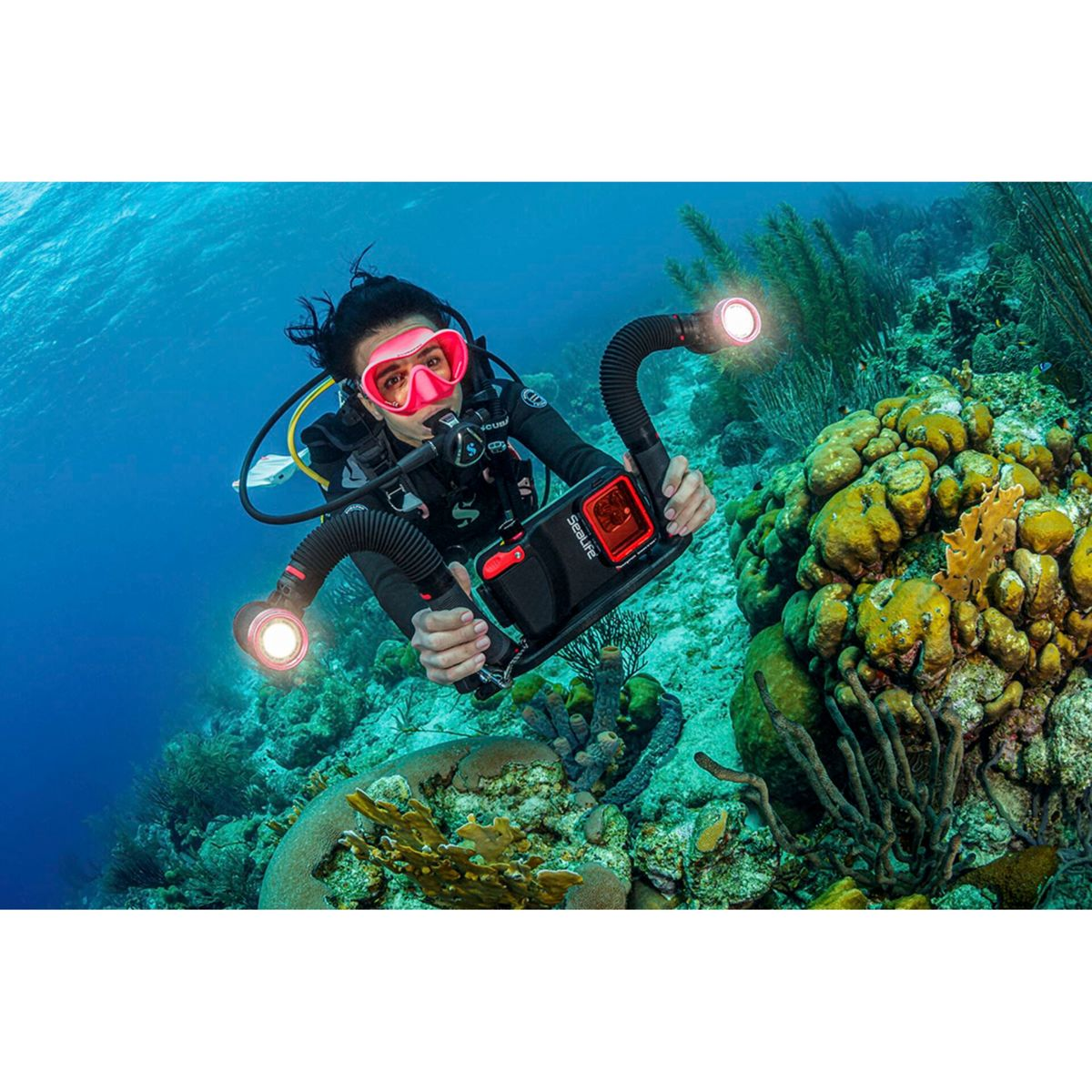 Ein Taucher im Meer mit Kamera und Lichtern, umgeben von Korallen. Pinke Maske.